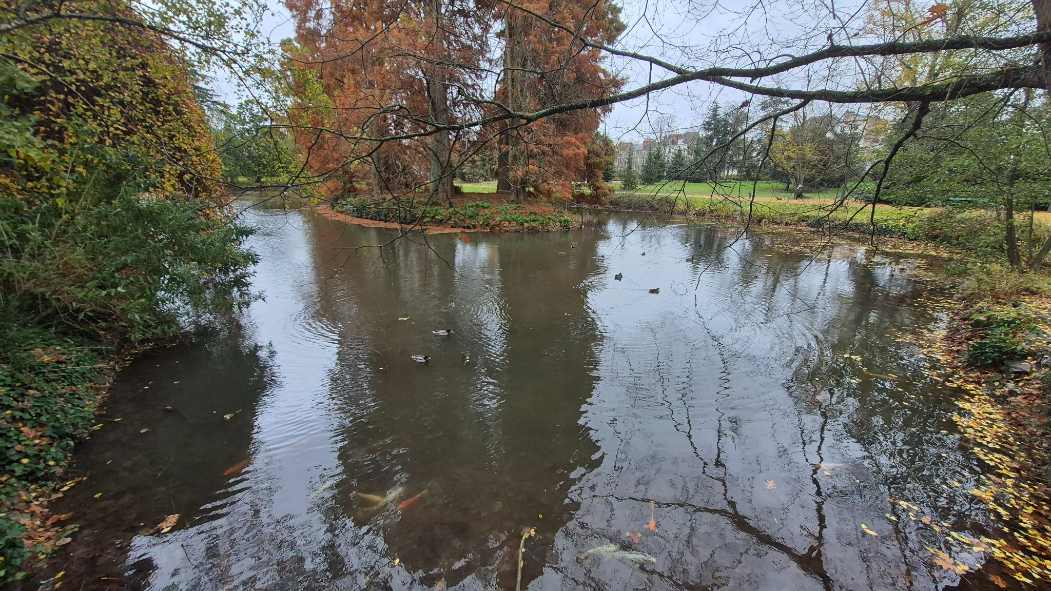 Photo prise avec le capteur ultra grand-angle, qui fait ses preuves lui aussi.