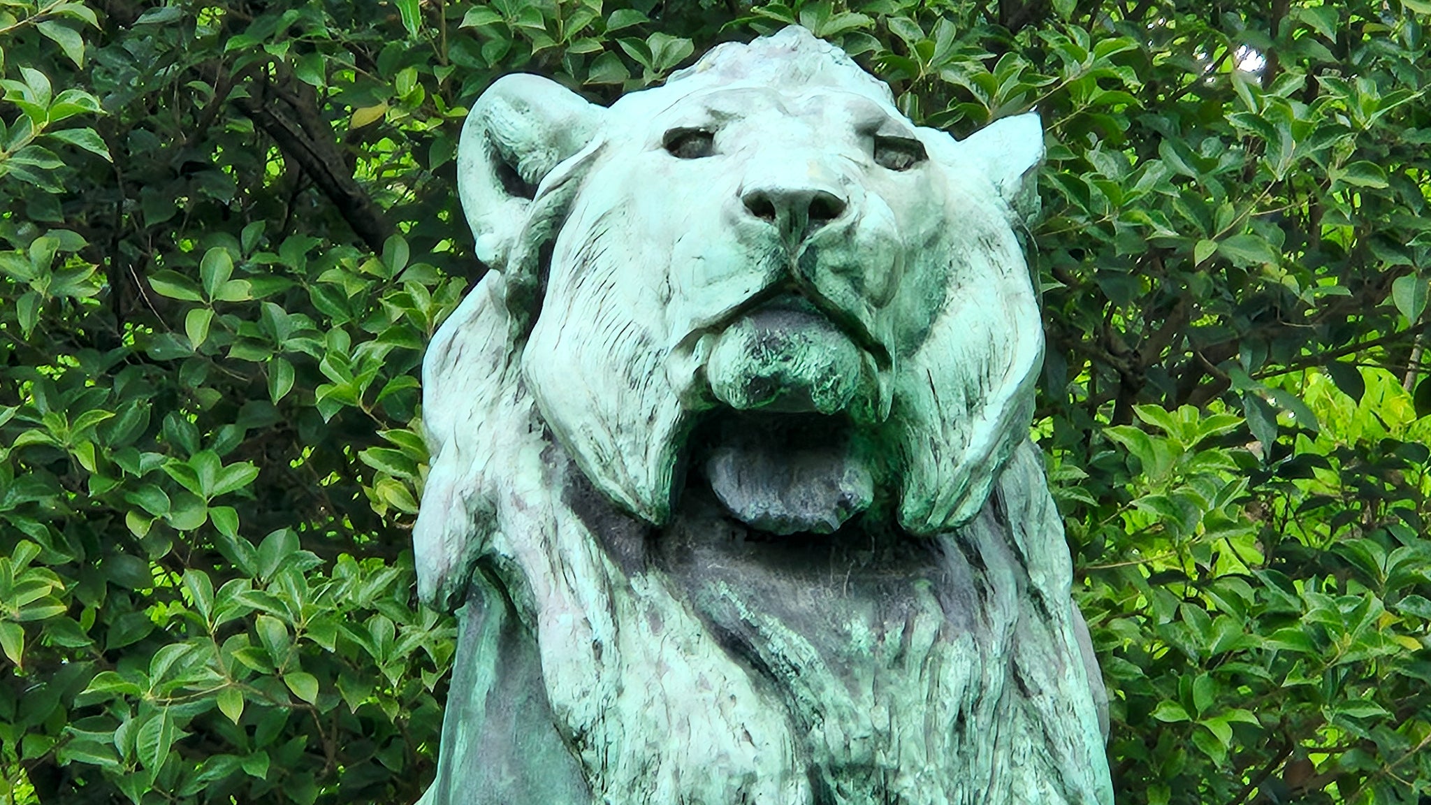 Puis, en passant au x10, nous pouvons réellement repérer tous les détails et effets du temps sur le visage du lion. Puis, en passant au x10, nous pouvons réellement repérer tous les détails et effets du temps sur le visage du lion.