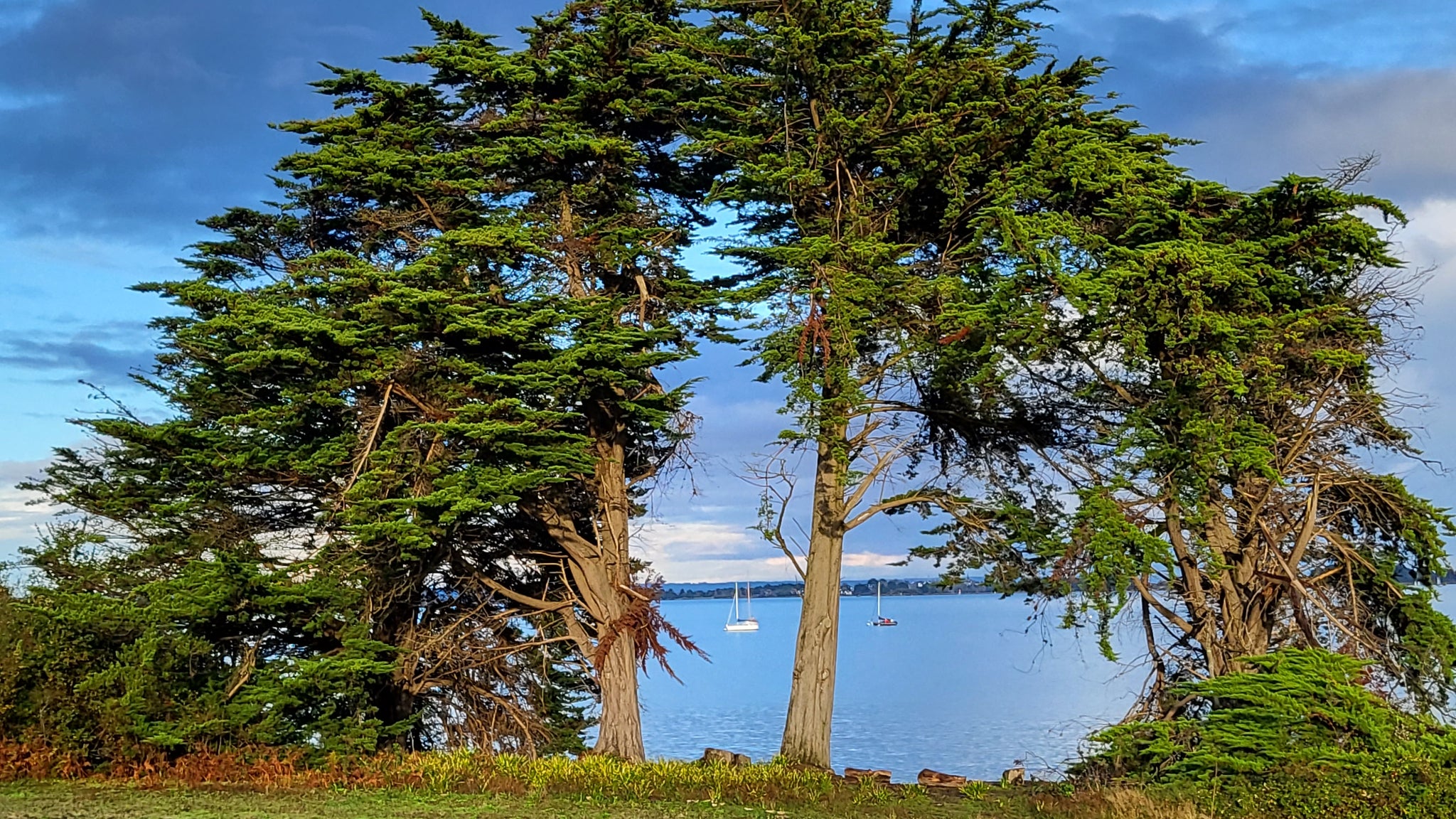 Photo prise avec le Samsung Galaxy Z Flip3 5G