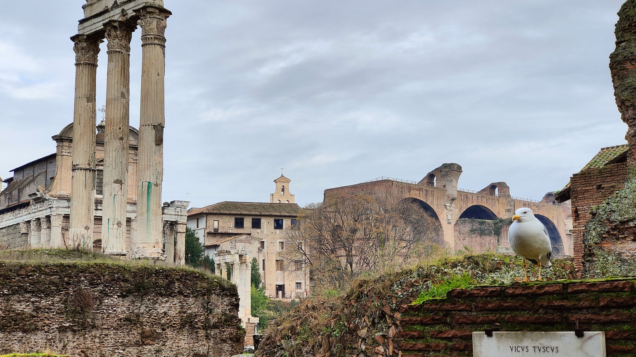 Le capteur ultra grand angle permet de capter de jolies scènes (et des mouettes)