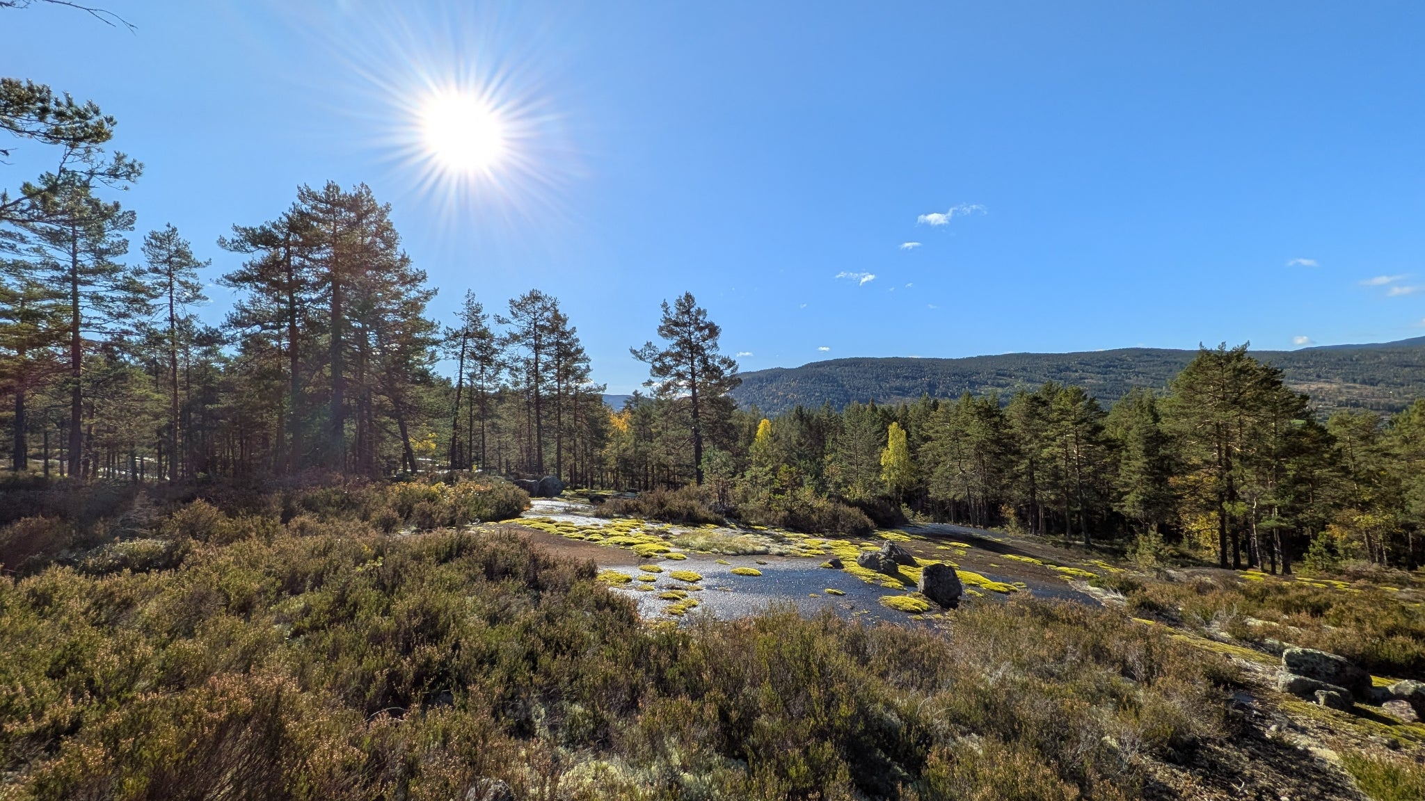 Les couleurs sont extrêmement bien retransmises...