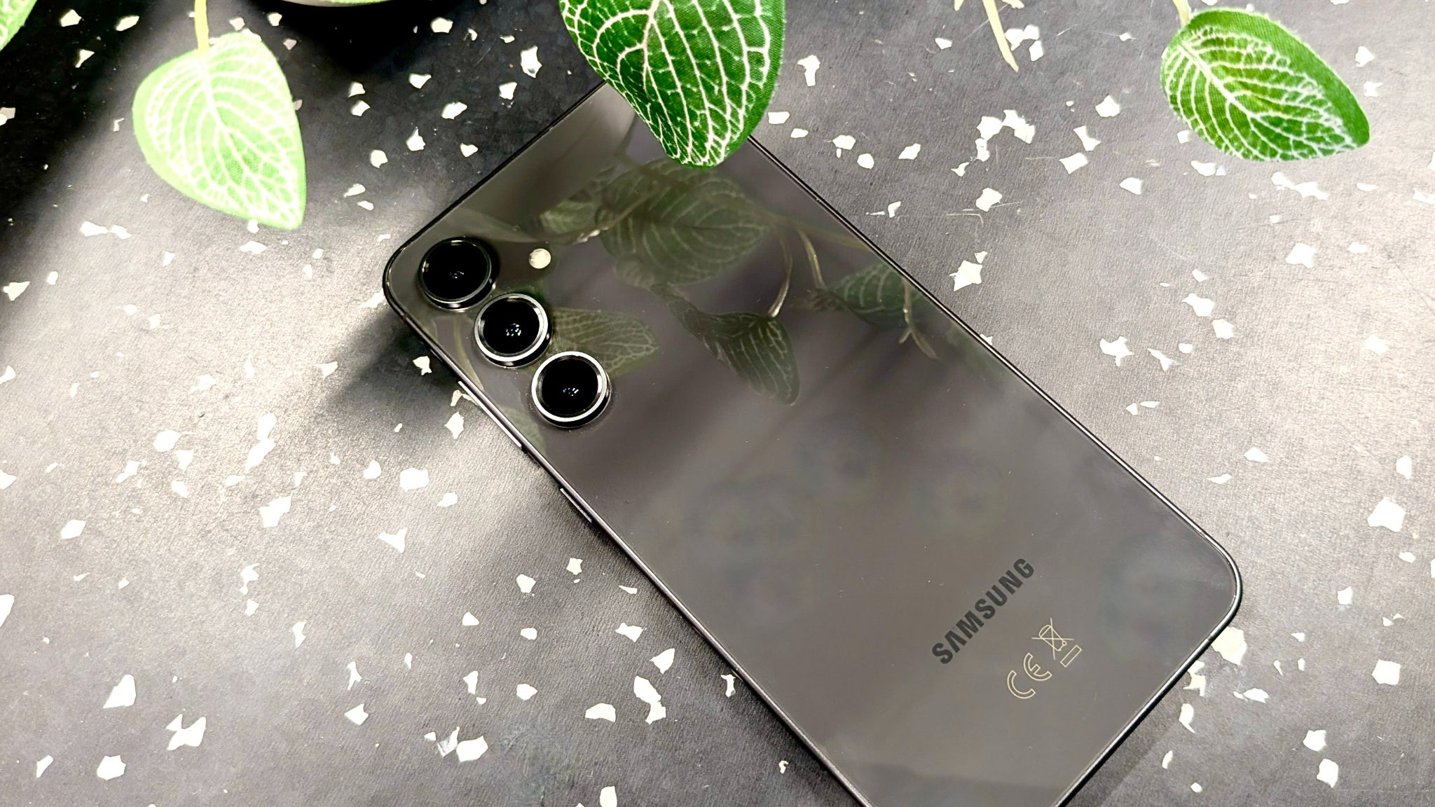 La vitre arrière, aussi solide que l'avant, rend très bien dans ce gris anthracite 