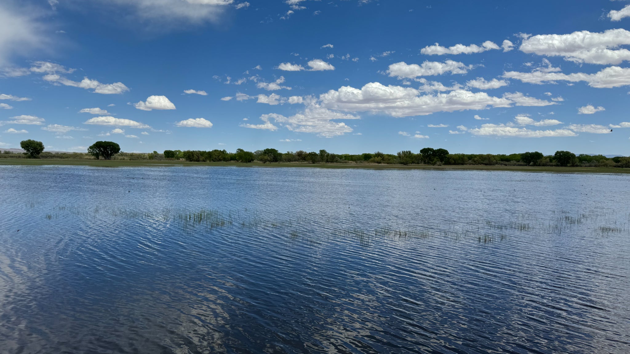 L'ensemble de la photo est parfaitement détaillée, faisant ressortir aussi bien la volupté des nuages que les petites herbes qui sortent du fleuve et l'ondulation de l'eau.