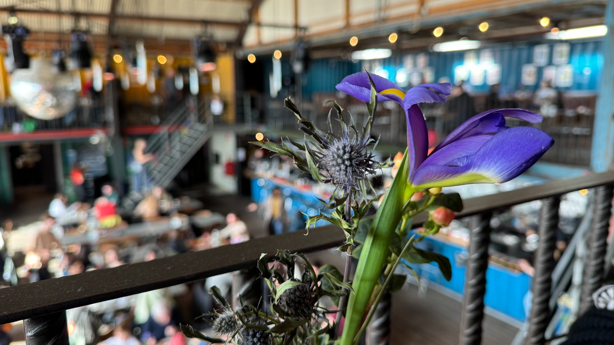 L'objectif principal permet également de faire joliment ressortir des sujets en premier plan, avec une belle gestion des profondeurs grâce à une mise au point rapide et intuitive.