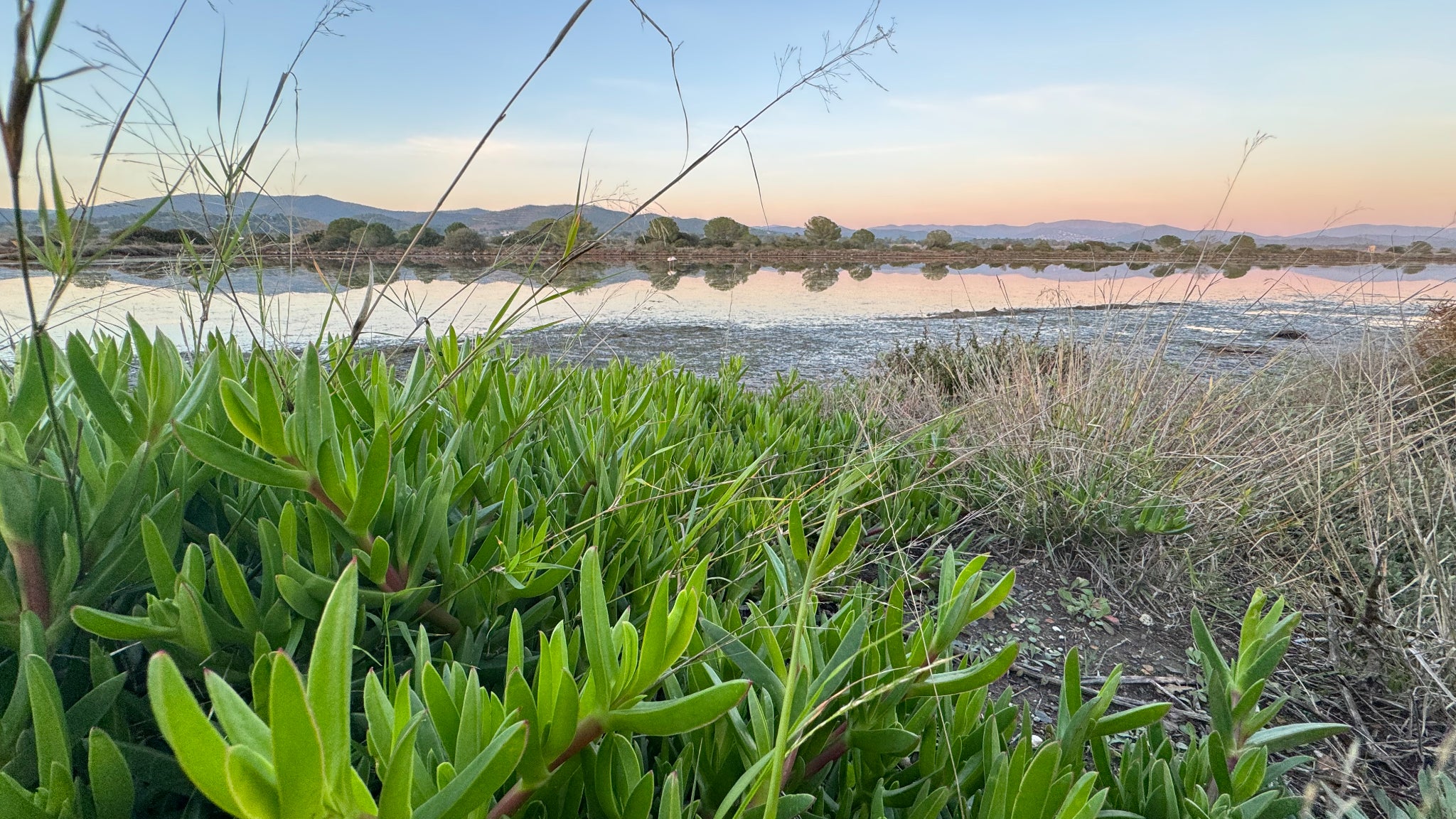 Le capteur ultra grand-angle, bien que de 12 Mpx "seulement", offre également des rendus fidèles et saisissants notamment grâce à une bonne gestion des couleurs.
