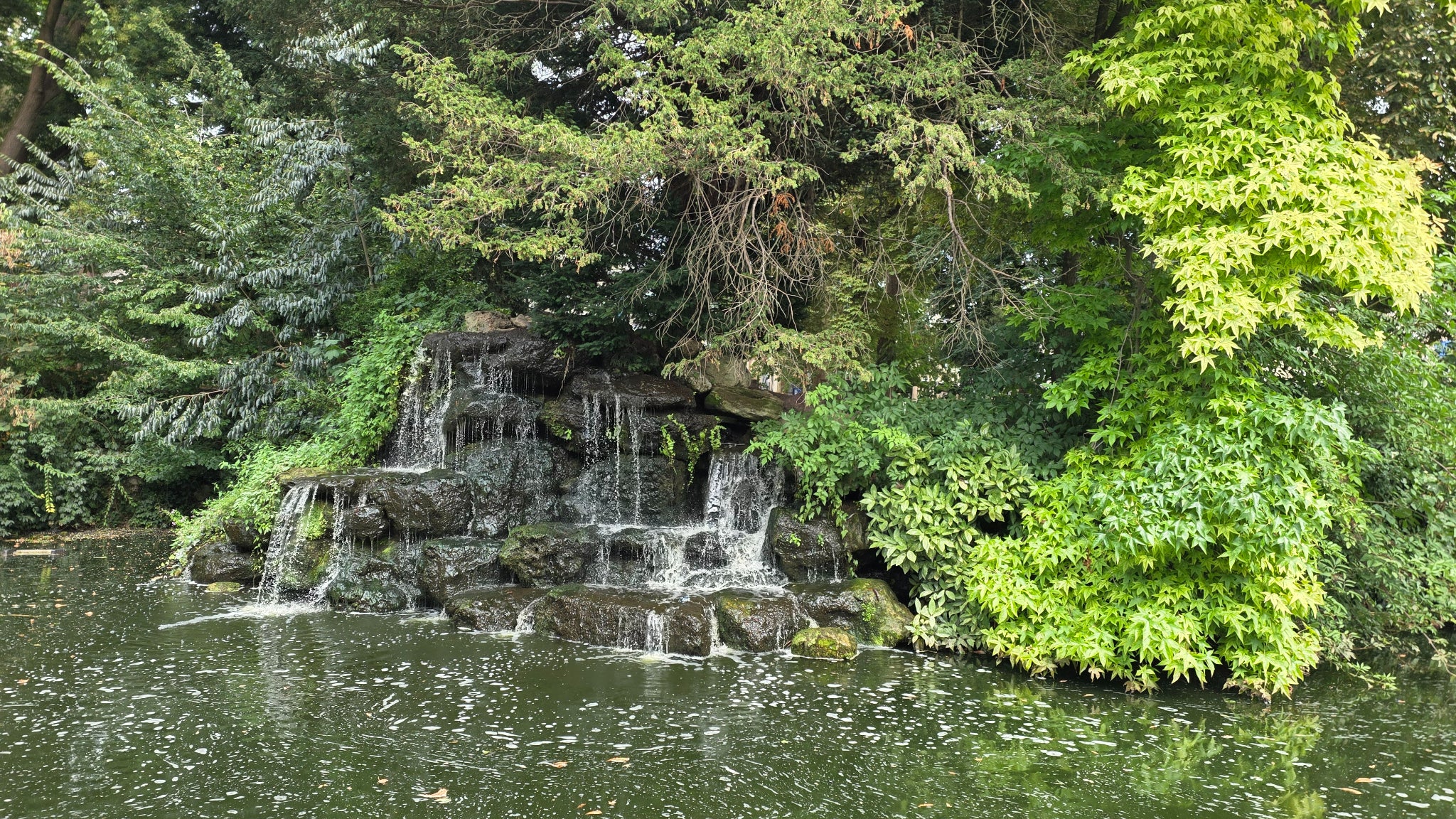 Ici, en zoom x1, les couleurs sont ultra vives et la netteté est au rendez-vous