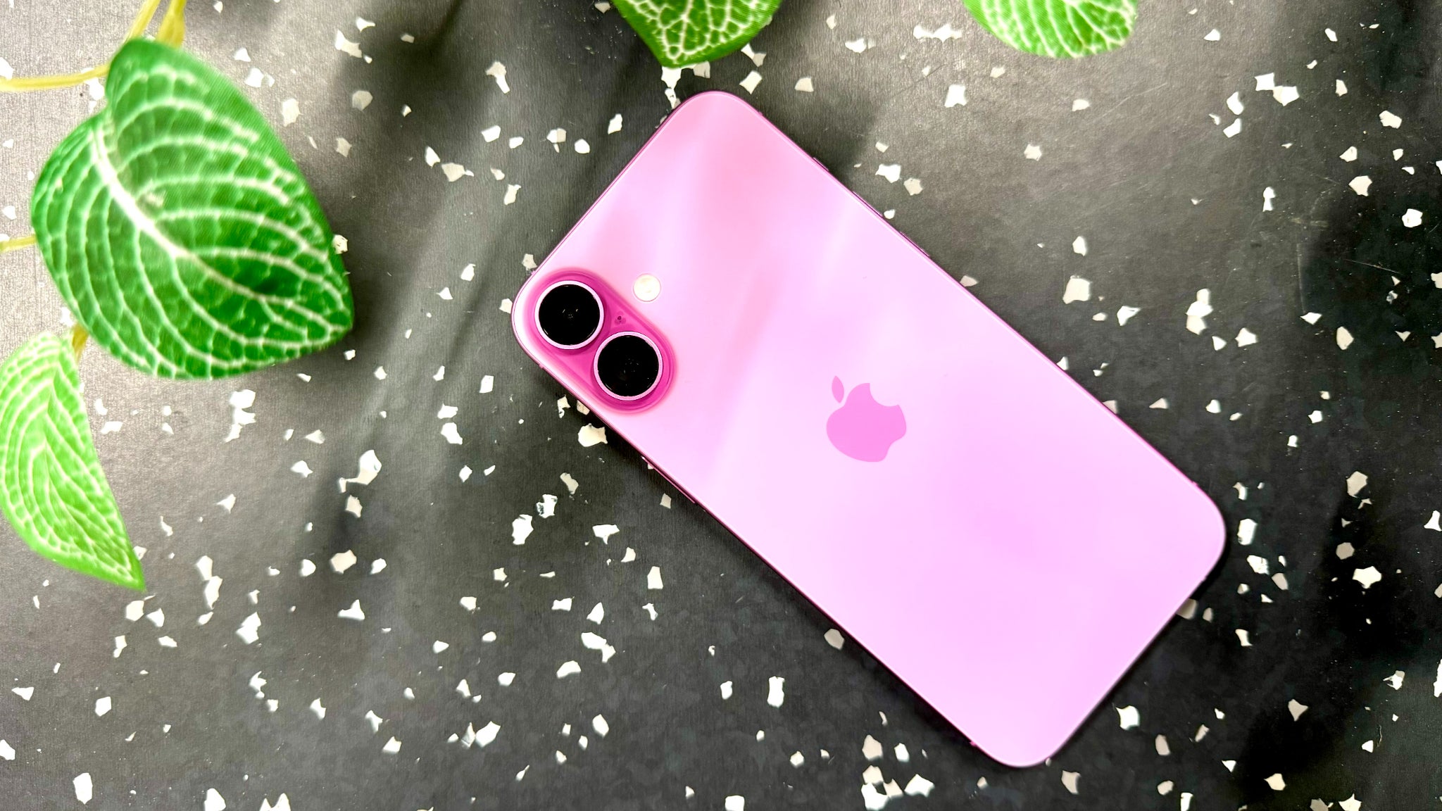 Le rose intense et élégant de l'iPhone 16 Plus. Le rose intense et élégant de l'iPhone 16 Plus.