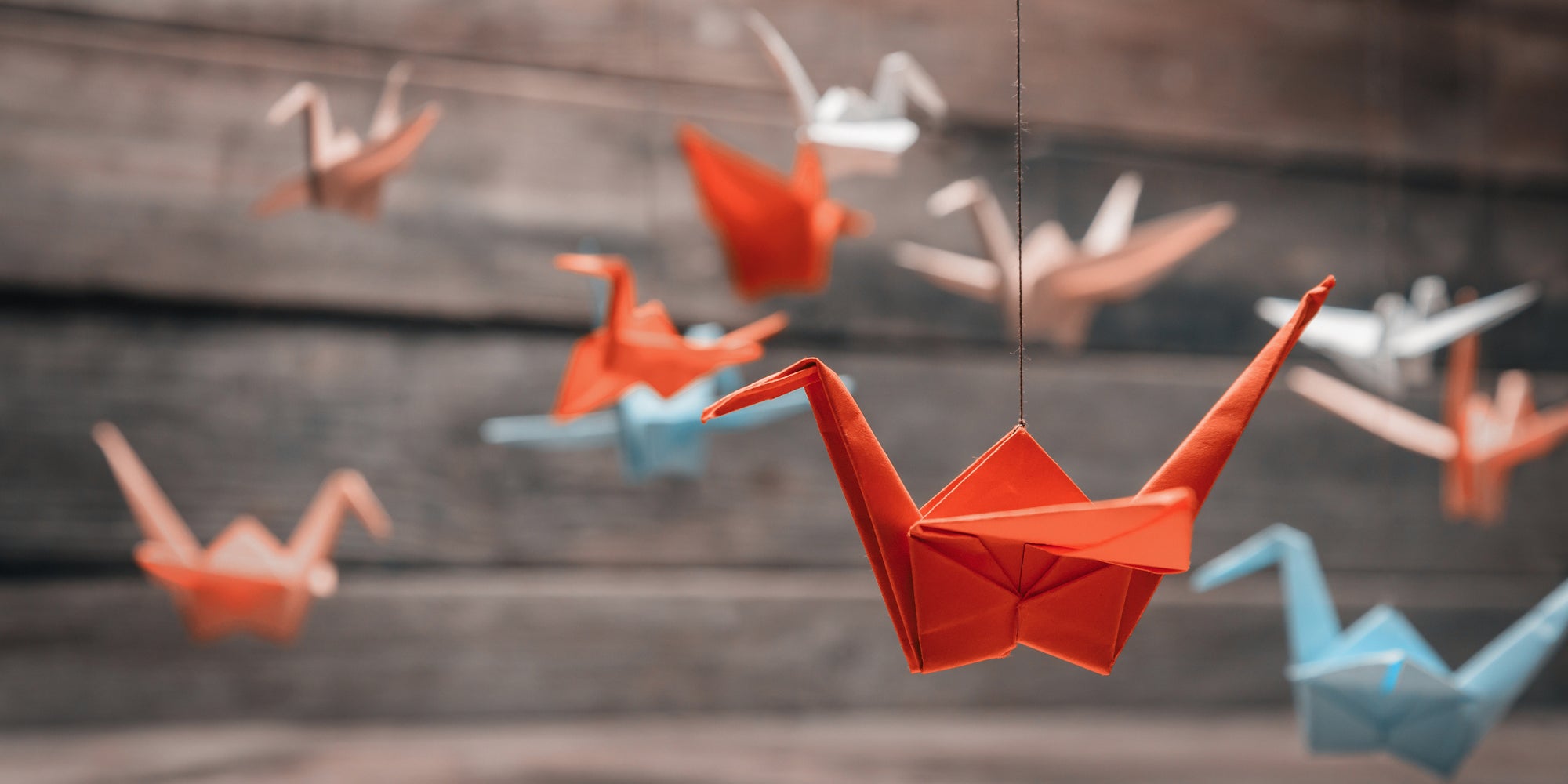 Les origamis n'auront plus de secret pour votre famille grâce à l'application SFR Kids Récré !