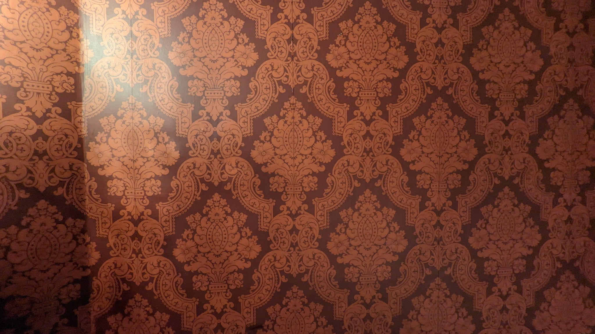 Une photo à 0,7 avec le Google Pixel 6