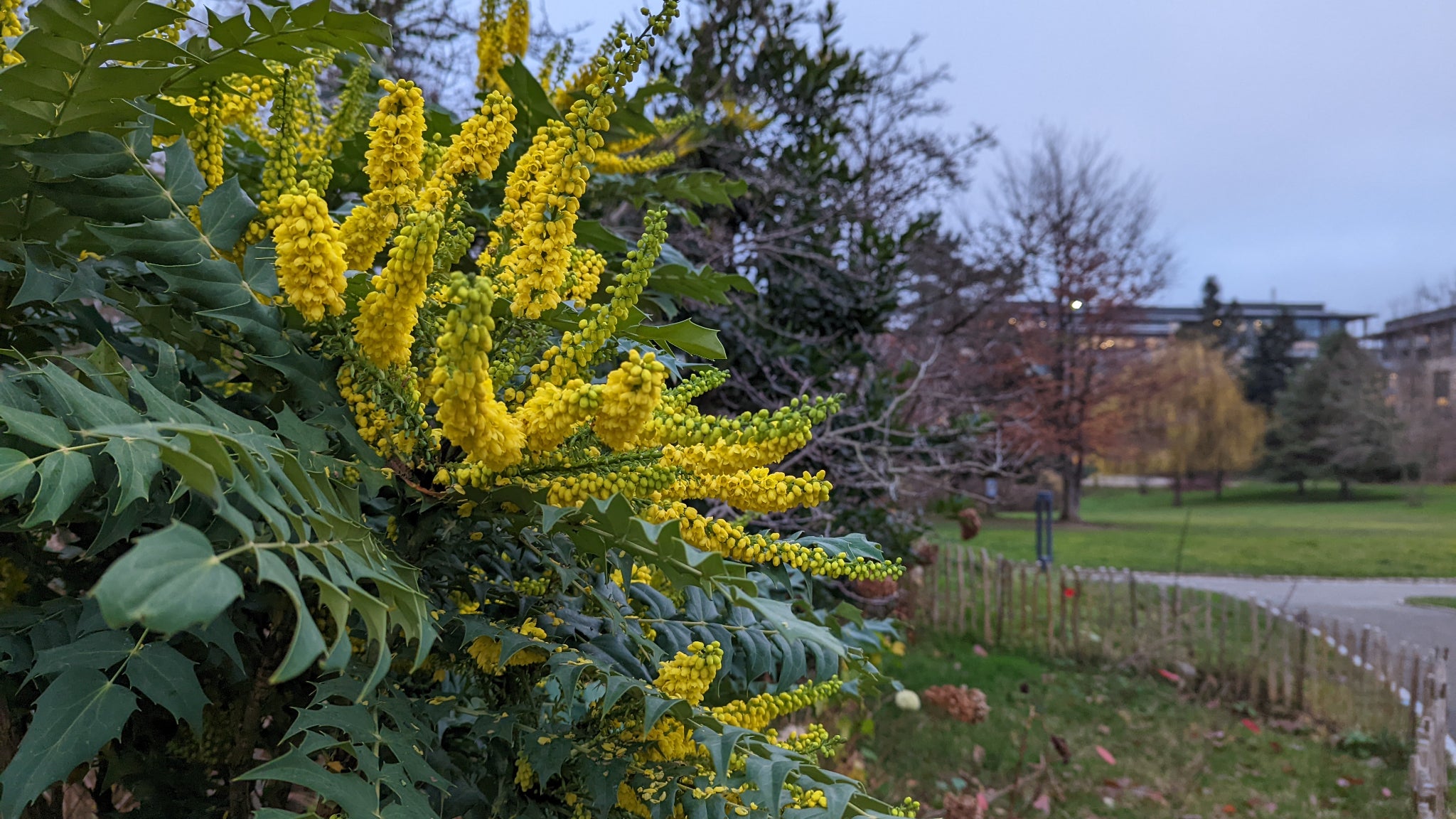 De jour comme de nuit, l'IA du Google Pixel 6 sait quoi mettre en valeur dans le cliché en train d'être pris