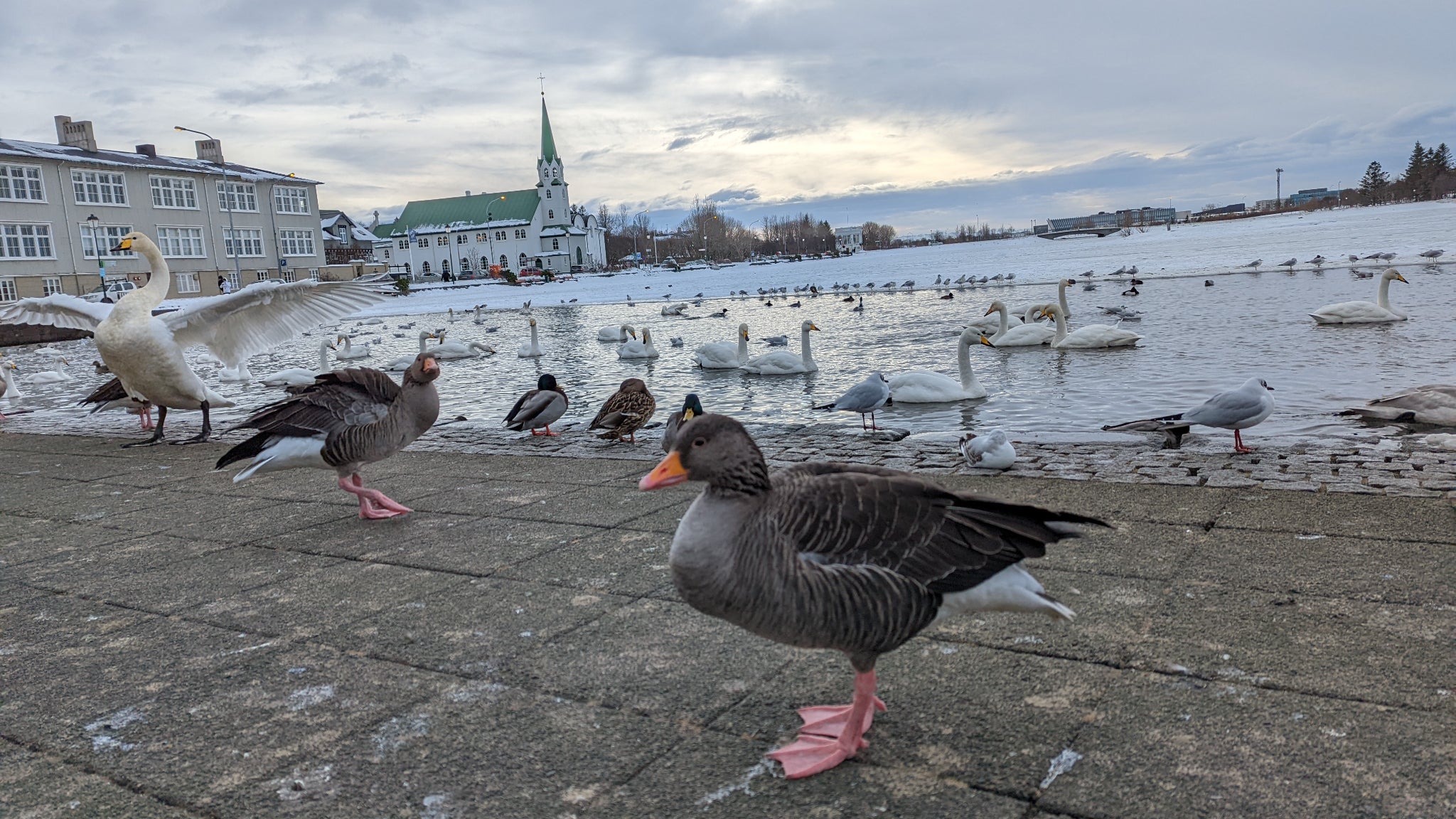 Même les mouvements et les scènes étranges sont parfaitement captés par le Google Pixel 6 Pro