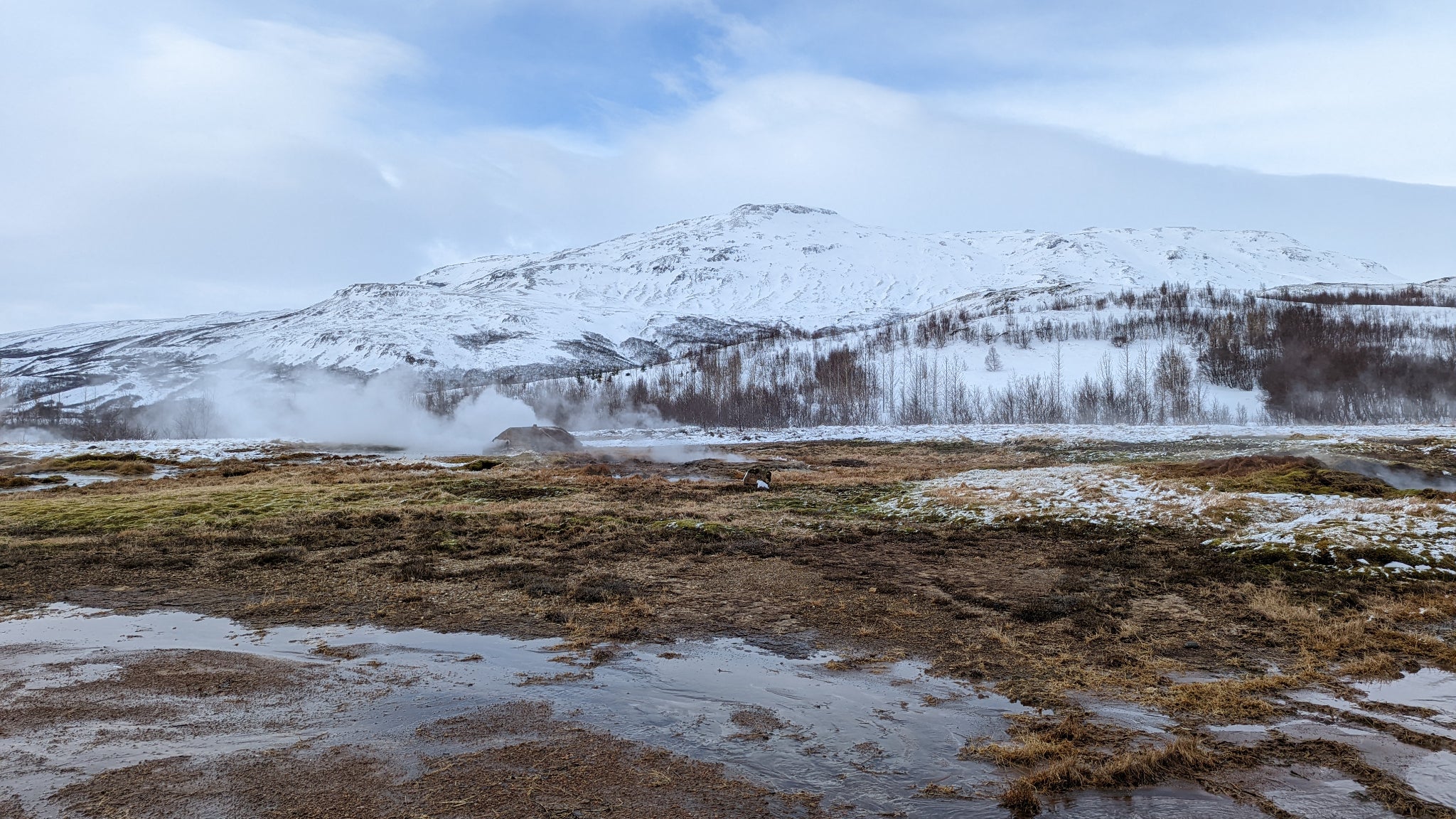 Un autre exemple de bonne captation des couleurs par l'IA du Google Pixel 6 Pro