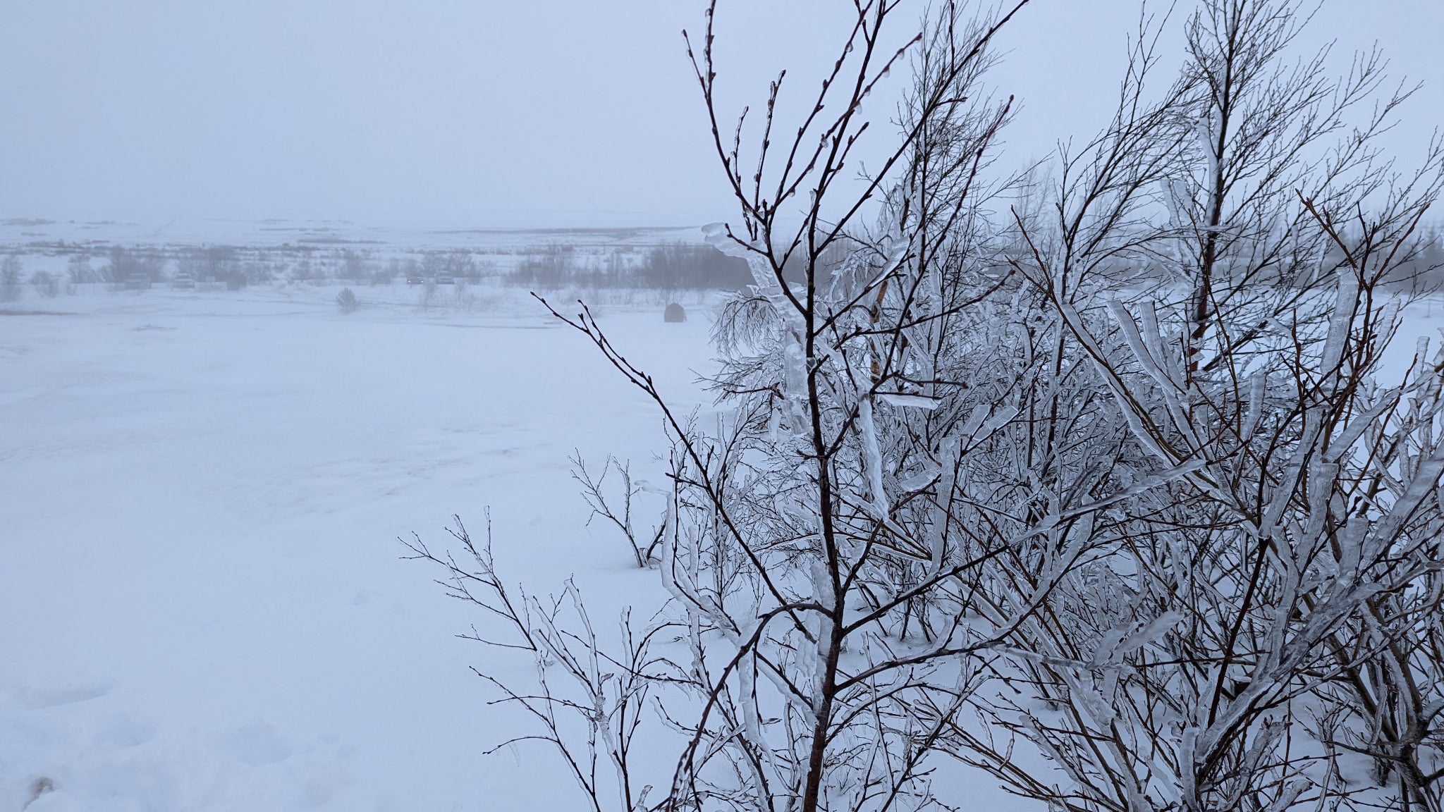 Le téléobjectif permet de passer au mode Macro pour saisir les petits détails