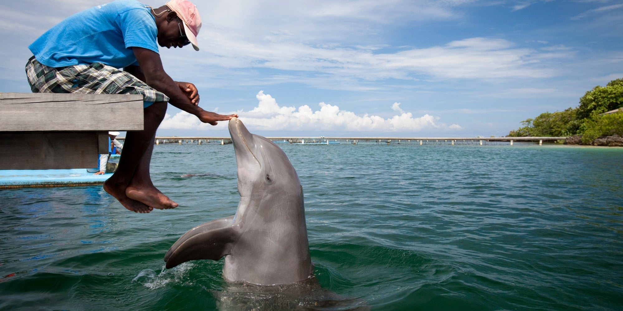 Les Pixel sont maintenant capables de traduire bien plus que les langues humaines...