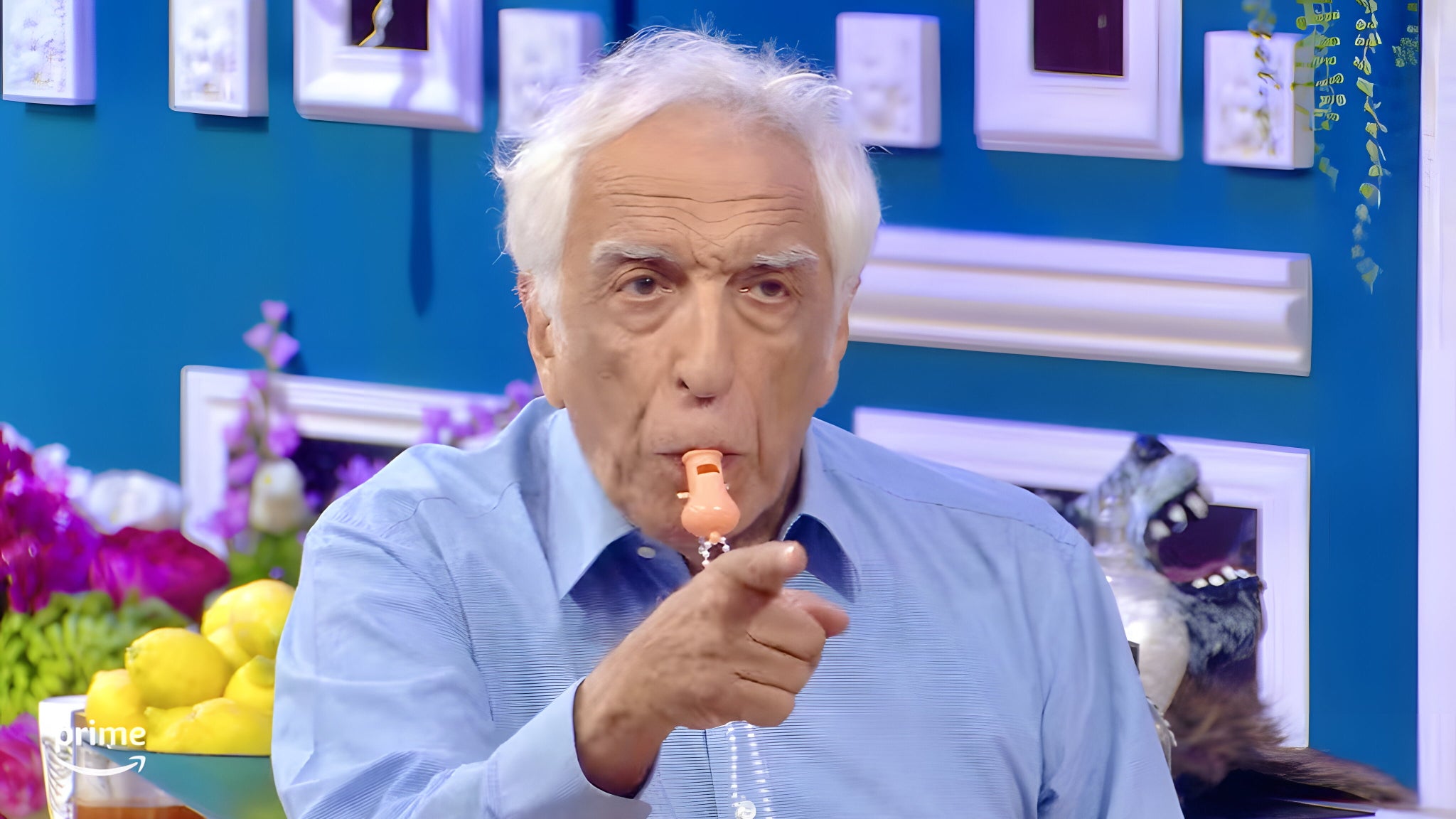 Gérard Darmon cèdera-t-il au fou rire dans cette saison spéciale Halloween ?