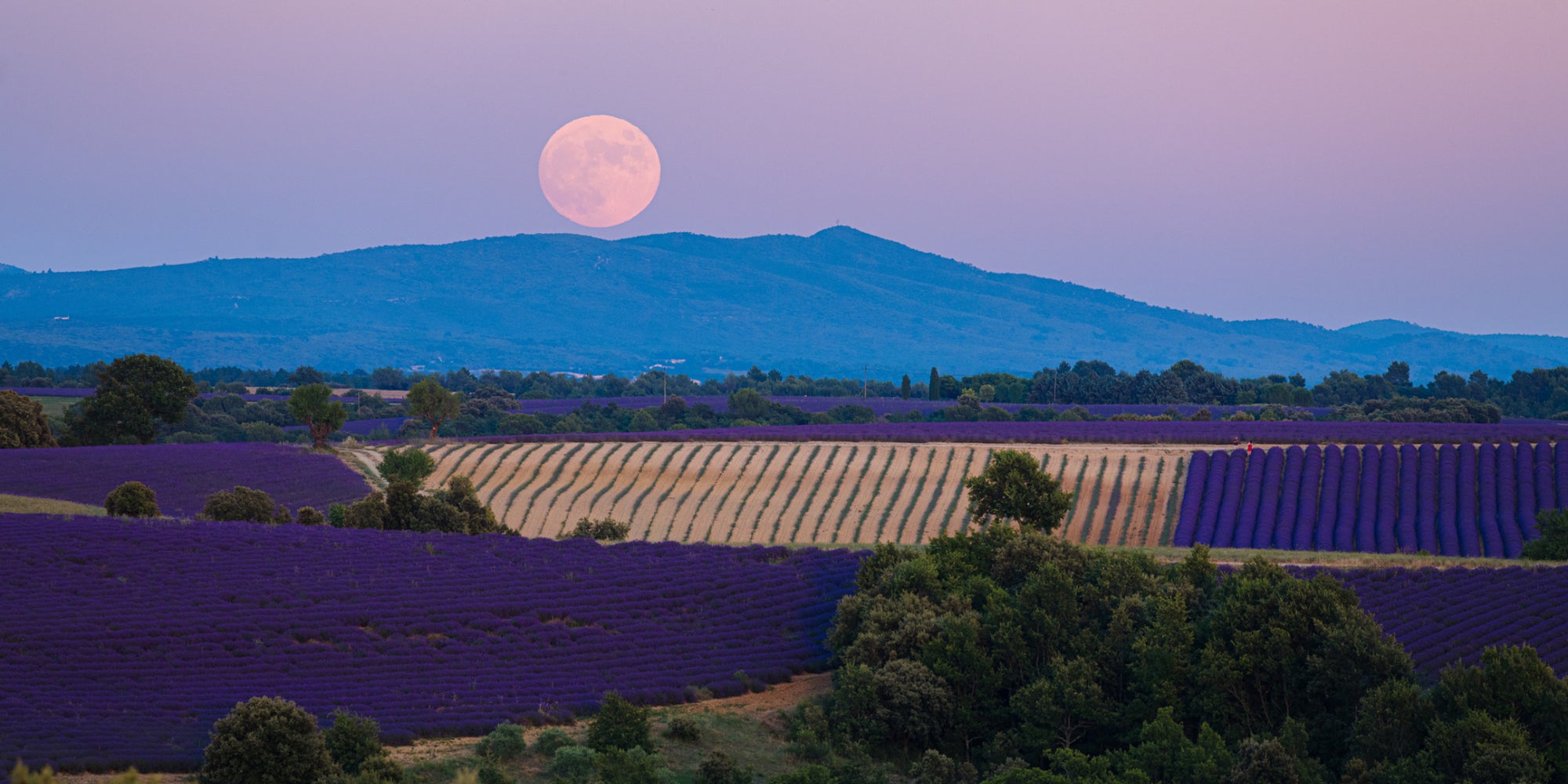 Pour l'éclipse lunaire du 3 mars 2026, découvrez nos astuces pour immortaliser ce moment avec votre smartphone !