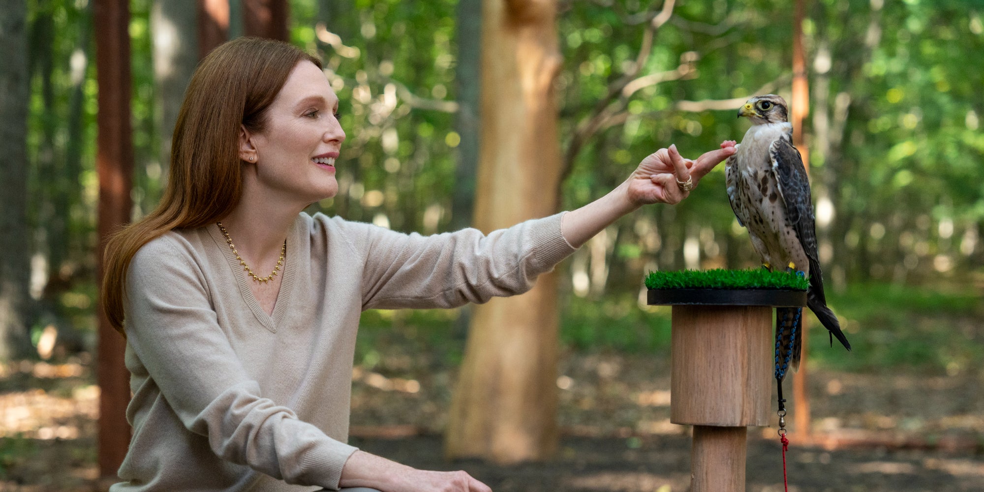Julianne Moore dans ''Sirens'', une série à retrouver sur Netflix.
