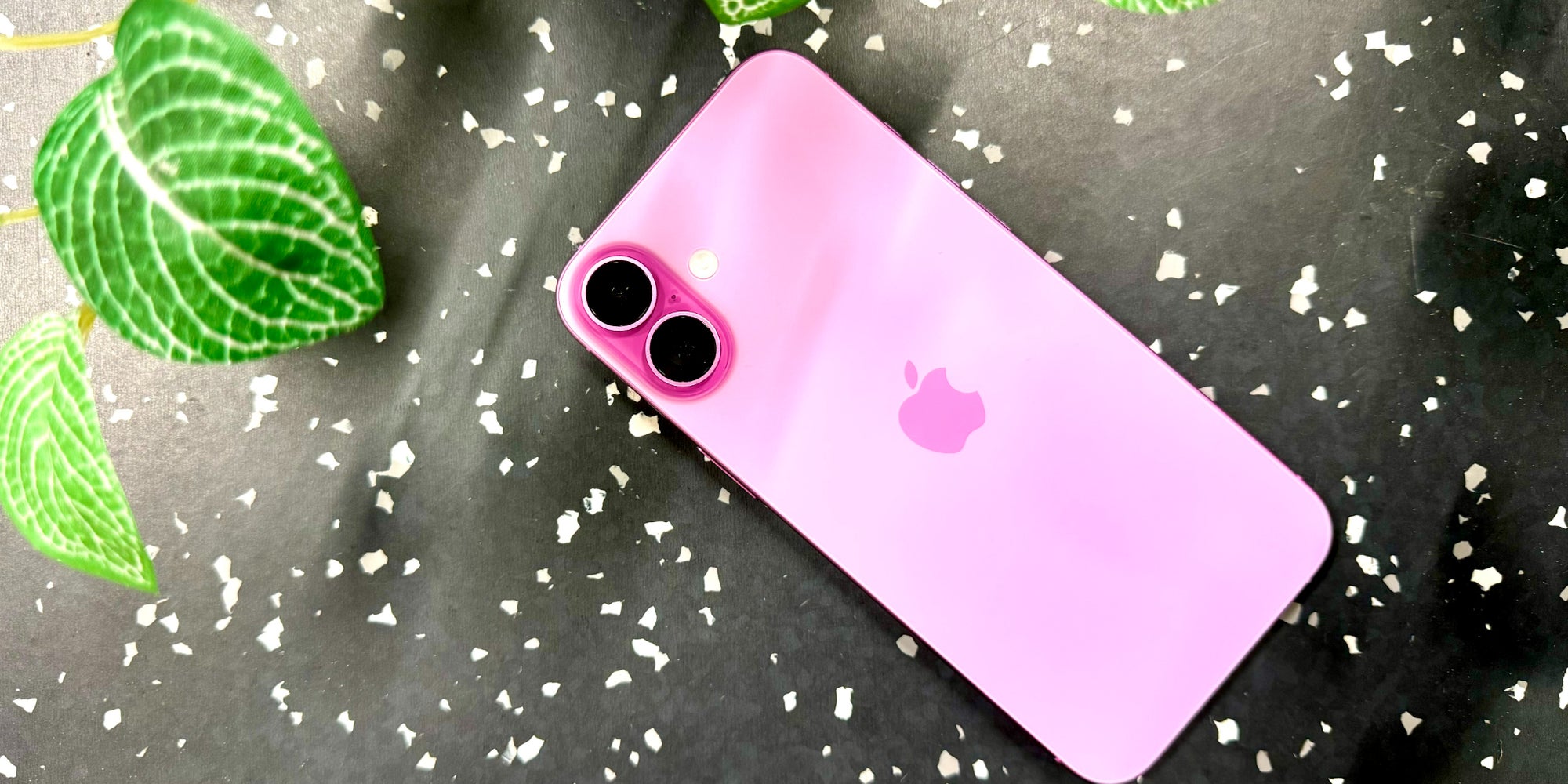 L'iPhone 16 (photo) pourrait bientôt se décliner en un modèle plus abordable.