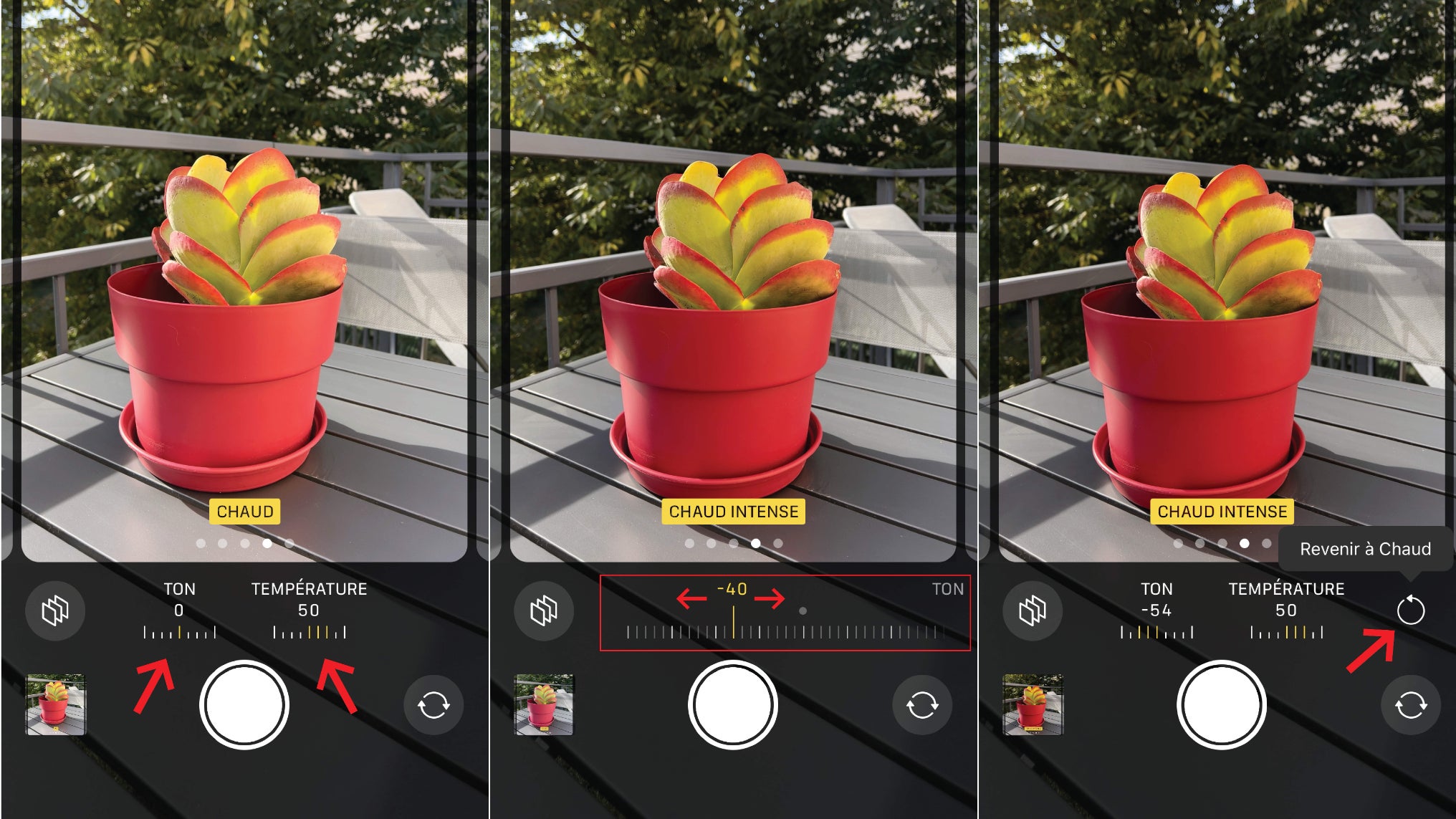 Pour régler le ton et/ou la température de chaque Style Photographique, et éventuellement revenir aux réglages par défaut, suivez les flèches rouges...