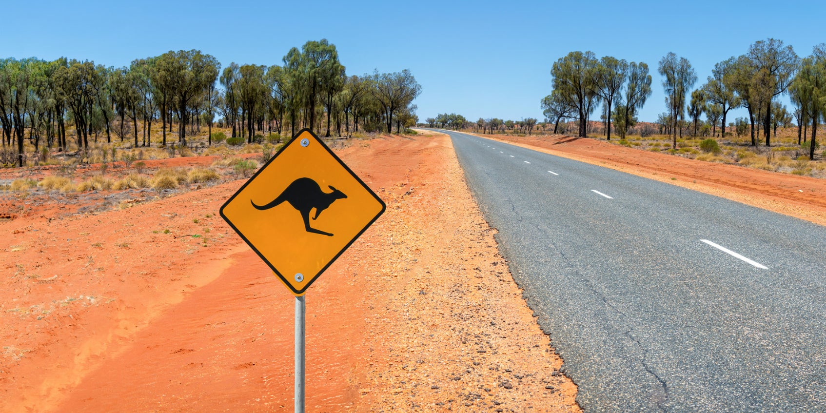 Le 2 octobre 2023, un kangourou a provoqué un accident de la route, mettant en grave danger la vie d'une conductrice australienne. 