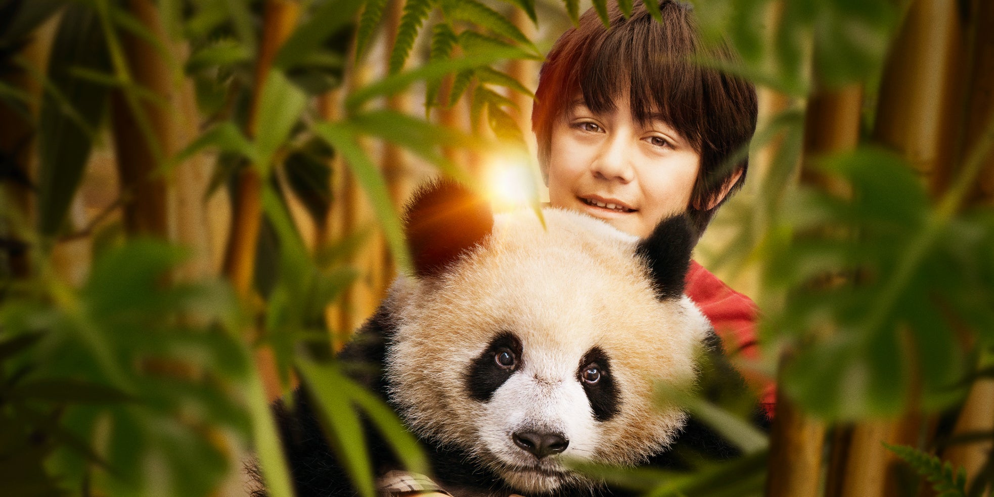 Le jeune Noé Liu Martane et son panda dans ''Moon le panda''.