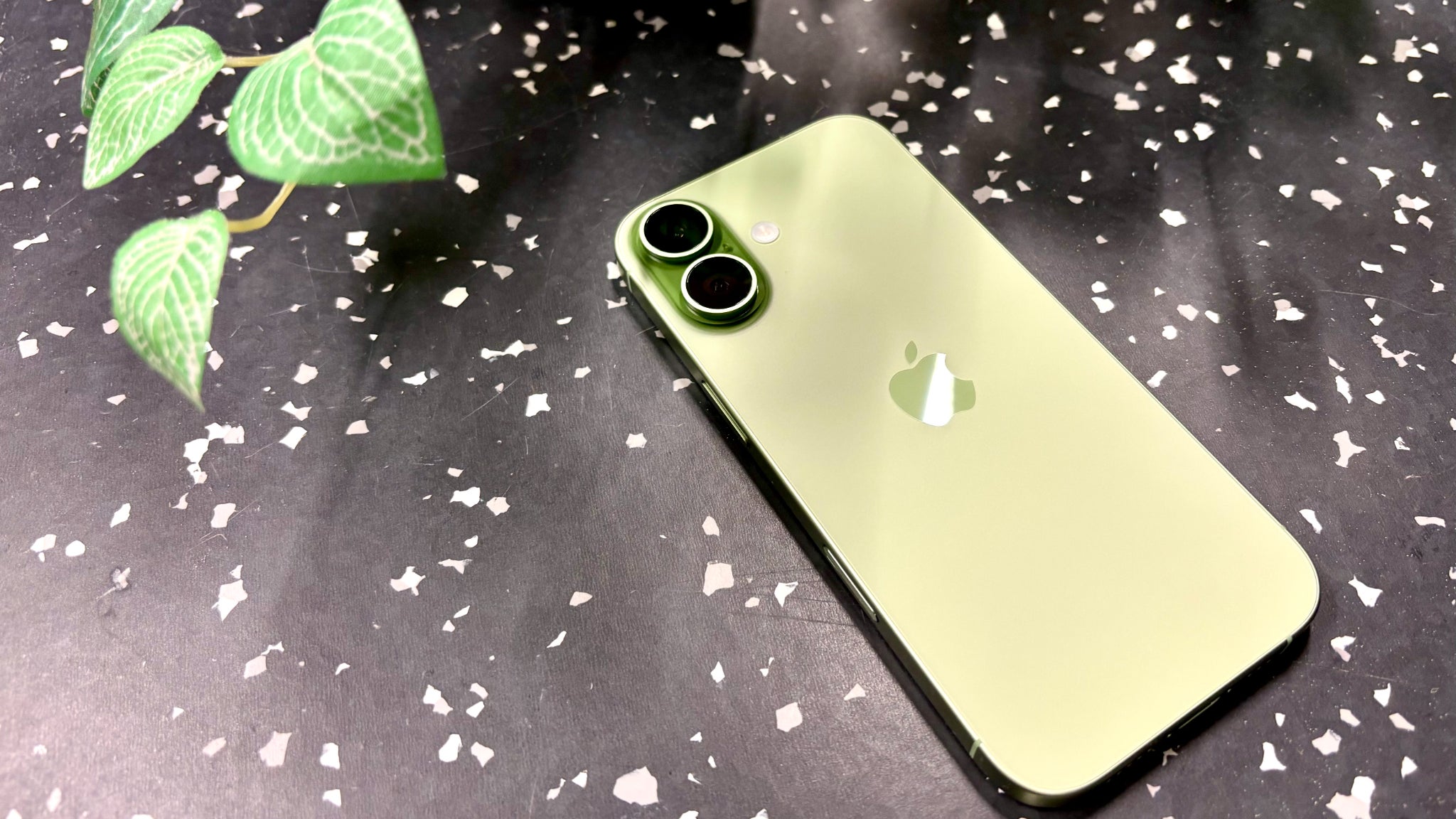 L'élégant coloris sauge de l'iPhone 17.