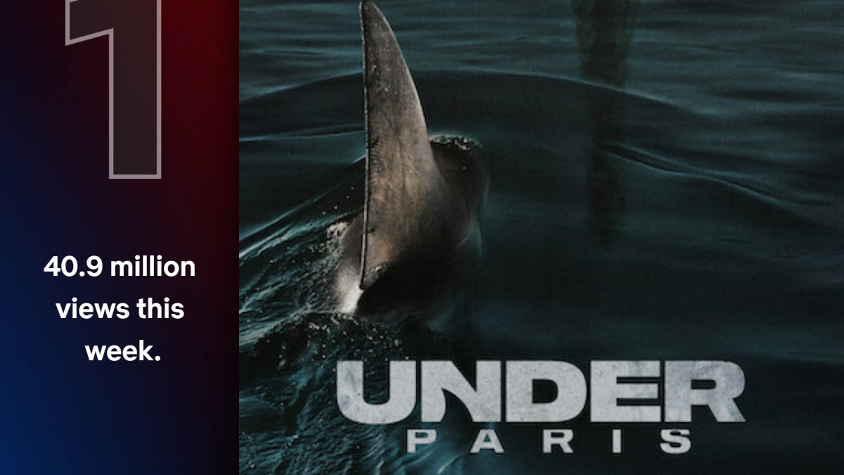Avec plus de 40 millions de vues lors de sa première semaine et plus de 100 millions de vues au total, Sous la Seine est le film français le plus regardé de Netflix.