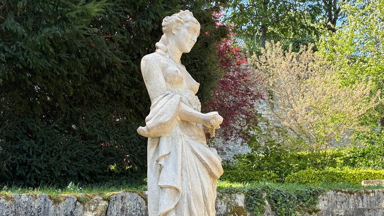 L'image est nette et le zoom maîtrisé.