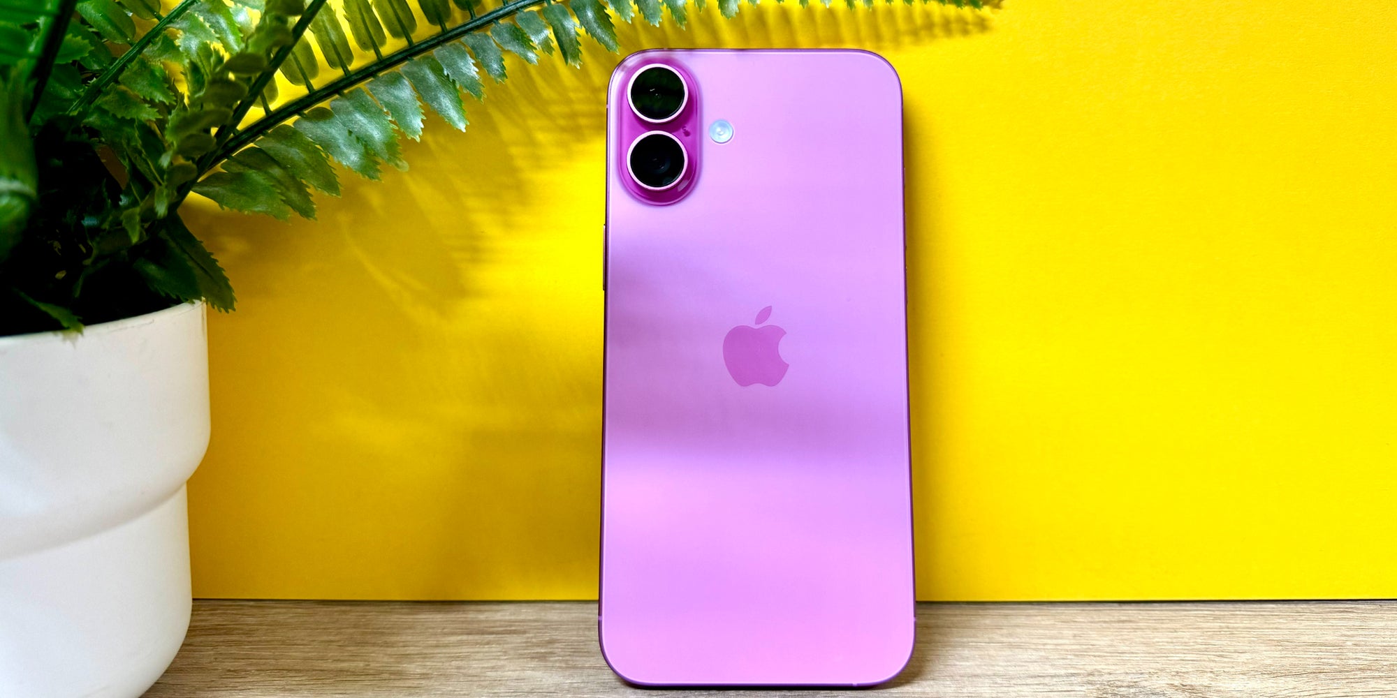 Nous avons testé l'iPhone 16 Plus, ici dans son beau coloris rose.