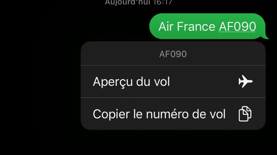 En cliquant sur le numéro du vol, deux boutons apparaissent En cliquant sur le numéro du vol, deux boutons apparaissent