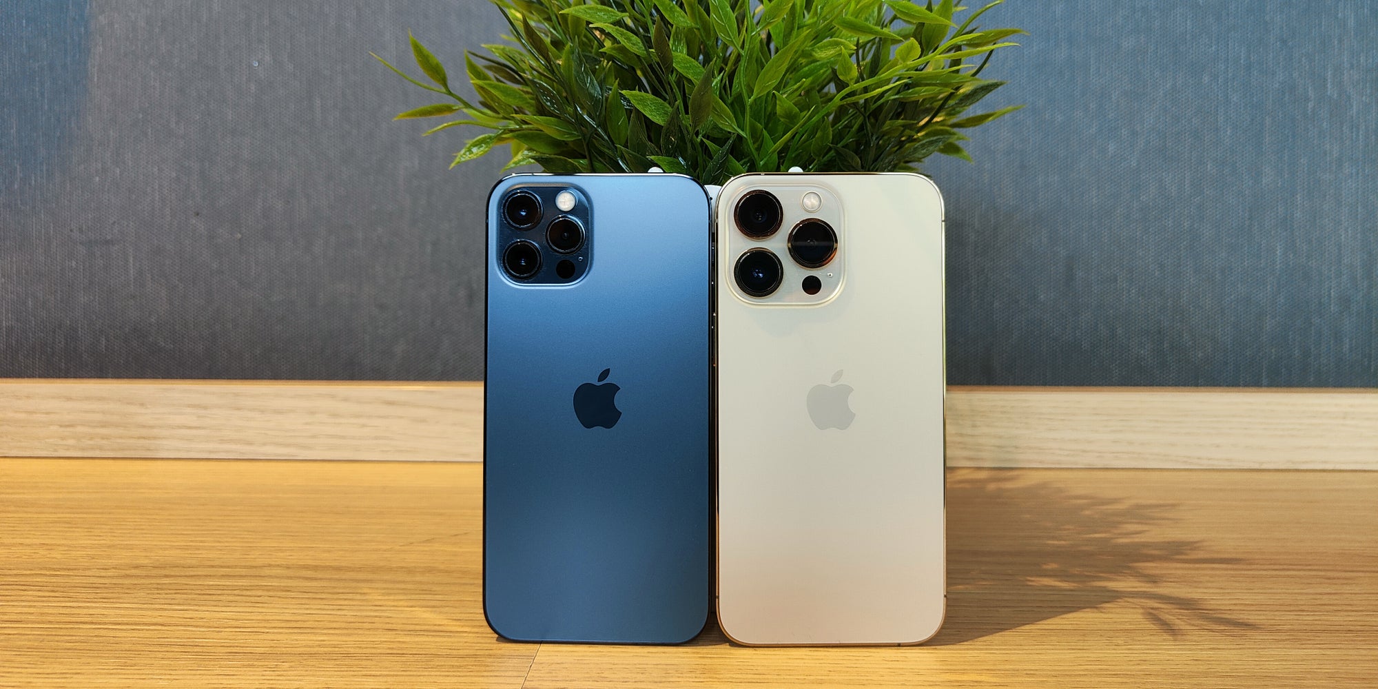 L'iPhone, éternelle star des ventes de fin d'année.