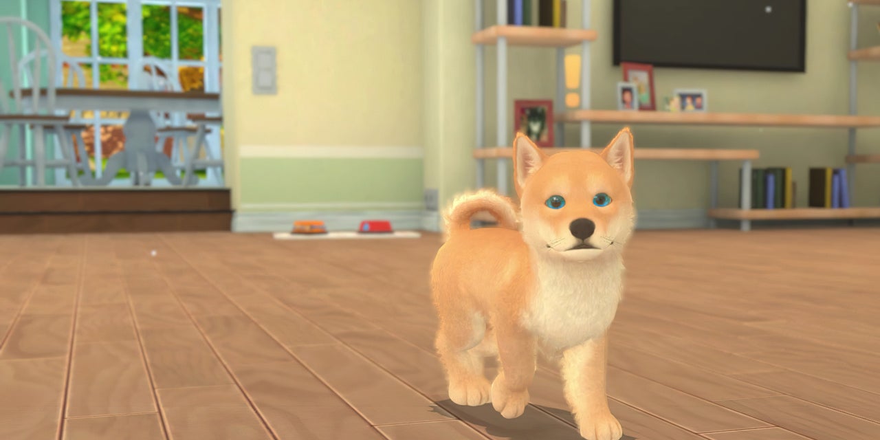 Découvrez les jeux "My Universe - Puppies & Kittens" et "Instant Sports+" sur SFR Gaming. 