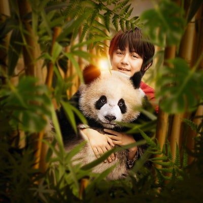 Moon le panda : le film d’aventures est à (re)voir en VOD chez SFR