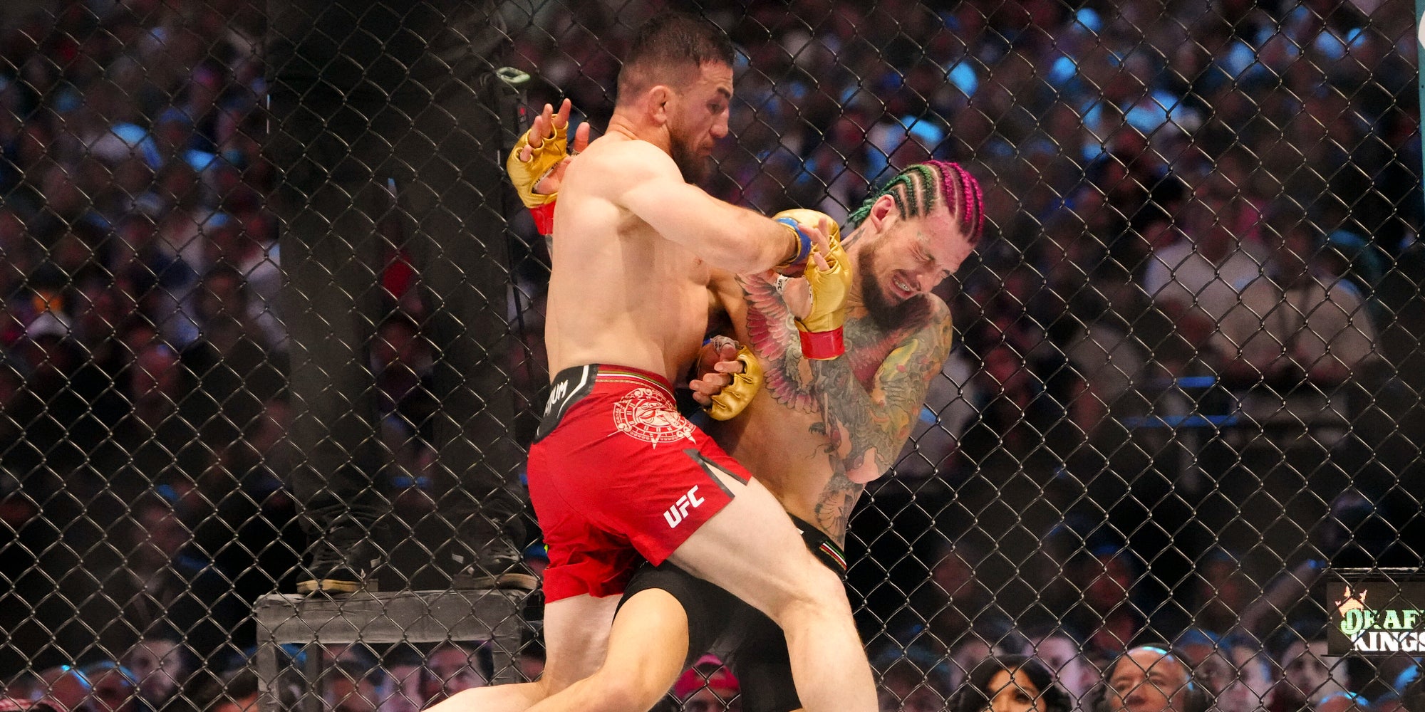 Merab Dvalishvili et Sean O'Malley lors de leur premier combat, le 14 septembre 2024 à la Sphere de Las Vegas.