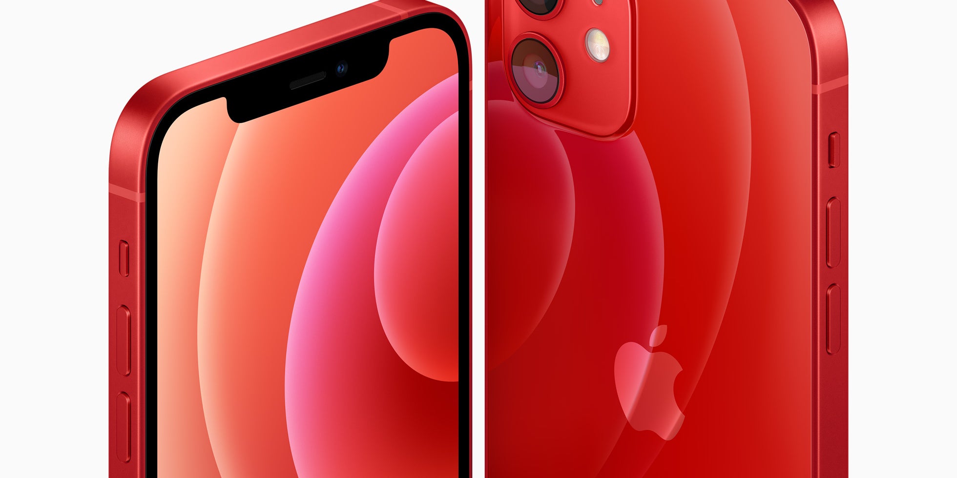 L'iPhone 12 est disponible en 5 coloris : noir, blanc, bleu, vert et rouge.