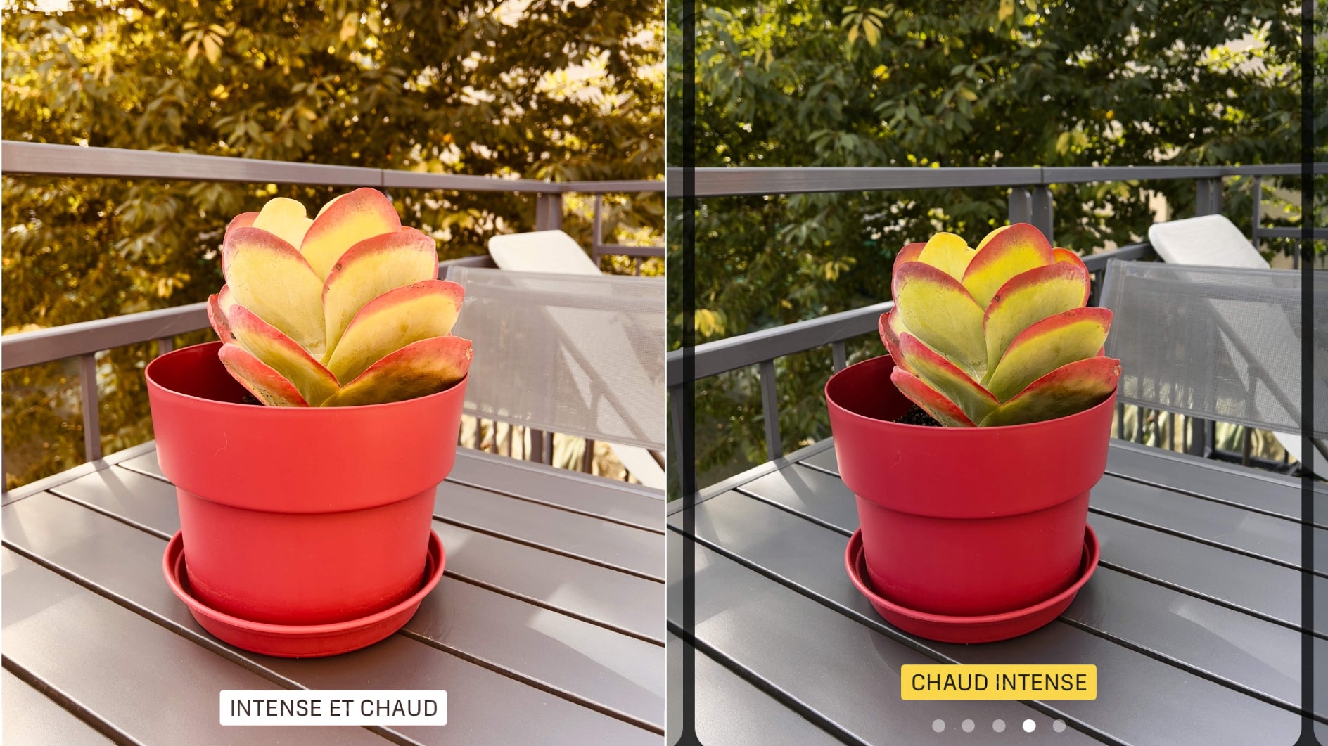 À gauche : l'application d'un filtre "Intense et Chaud". À droite : le Style Photographique "Chaud", avec un ton "Intense". Deux effets qui sonnent pareil mais n'ont de tout évidence rien à voir... À gauche : l'application d'un filtre "Intense et Chaud". À droite : le Style Photographique "Chaud", avec un ton "Intense". Deux effets qui sonnent pareil mais n'ont de tout évidence rien à voir...