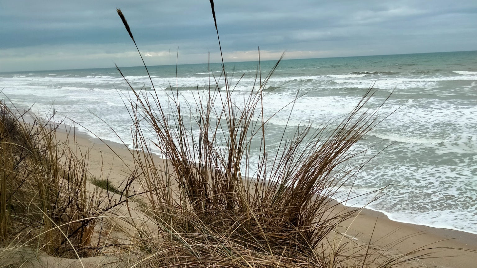 Le capteur de profondeur permet de réaliser de très beaux clichés