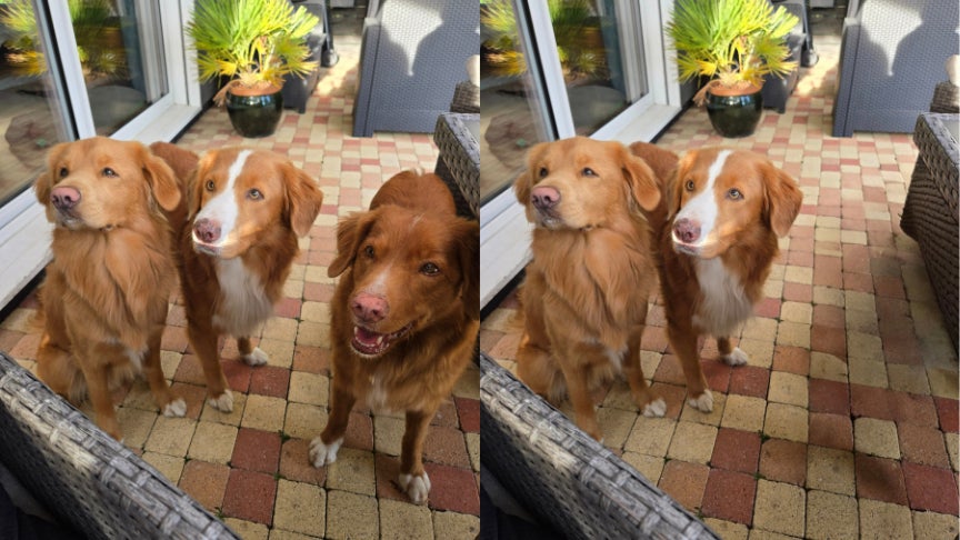 La disparition de Woody est plutôt convaincante, bien que l'on remarque quelques défauts à droite