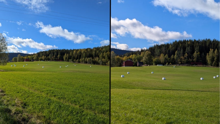 Le zoom rend hommage aux couleurs éclatantes