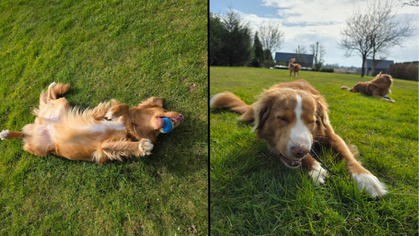 Même avec des éléments en mouvent la photo reste nette (Zoom x1)