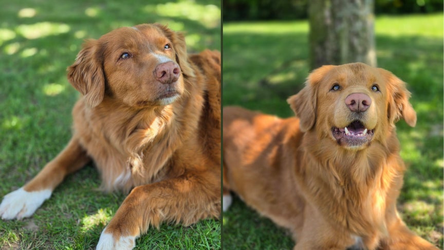 Même à l'ombre, les clichés restent réussis sans effort, ici en mode portrait.