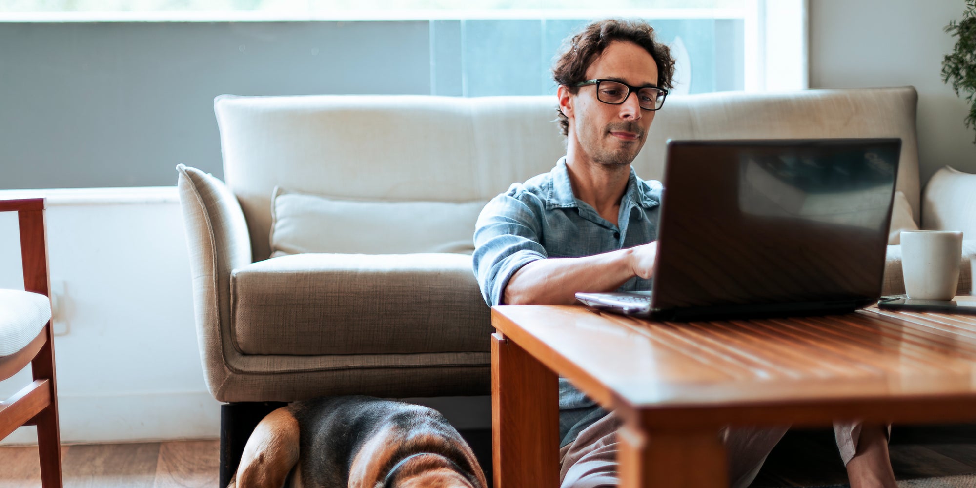 Équipements box et TV, débits, options incluses... Voici tout ce qu'il faut savoir des offres SFR Fibre Starter, Power, Power S et Premium.