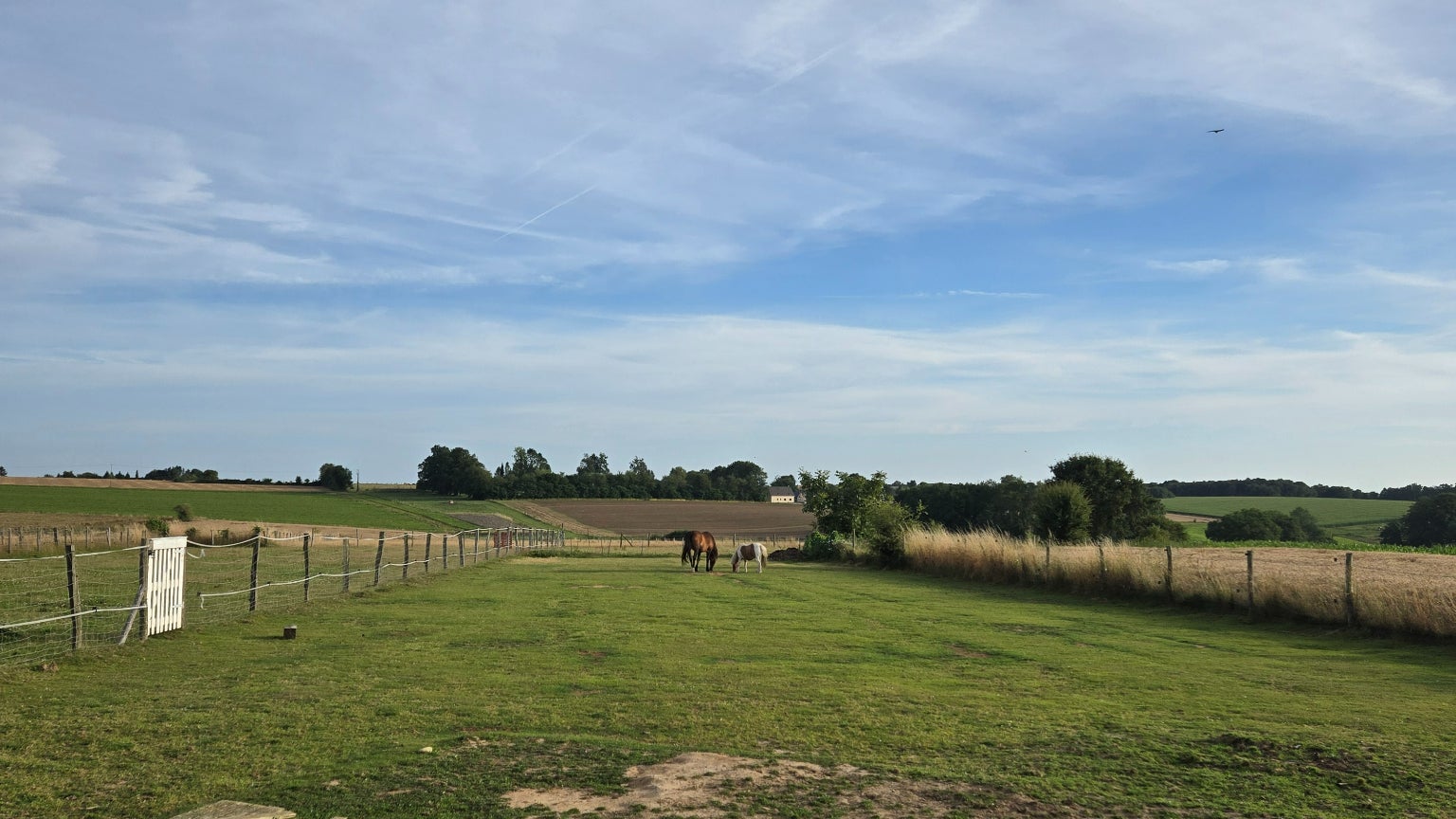 Prise de vue avec le capteur grand-angle (x1).