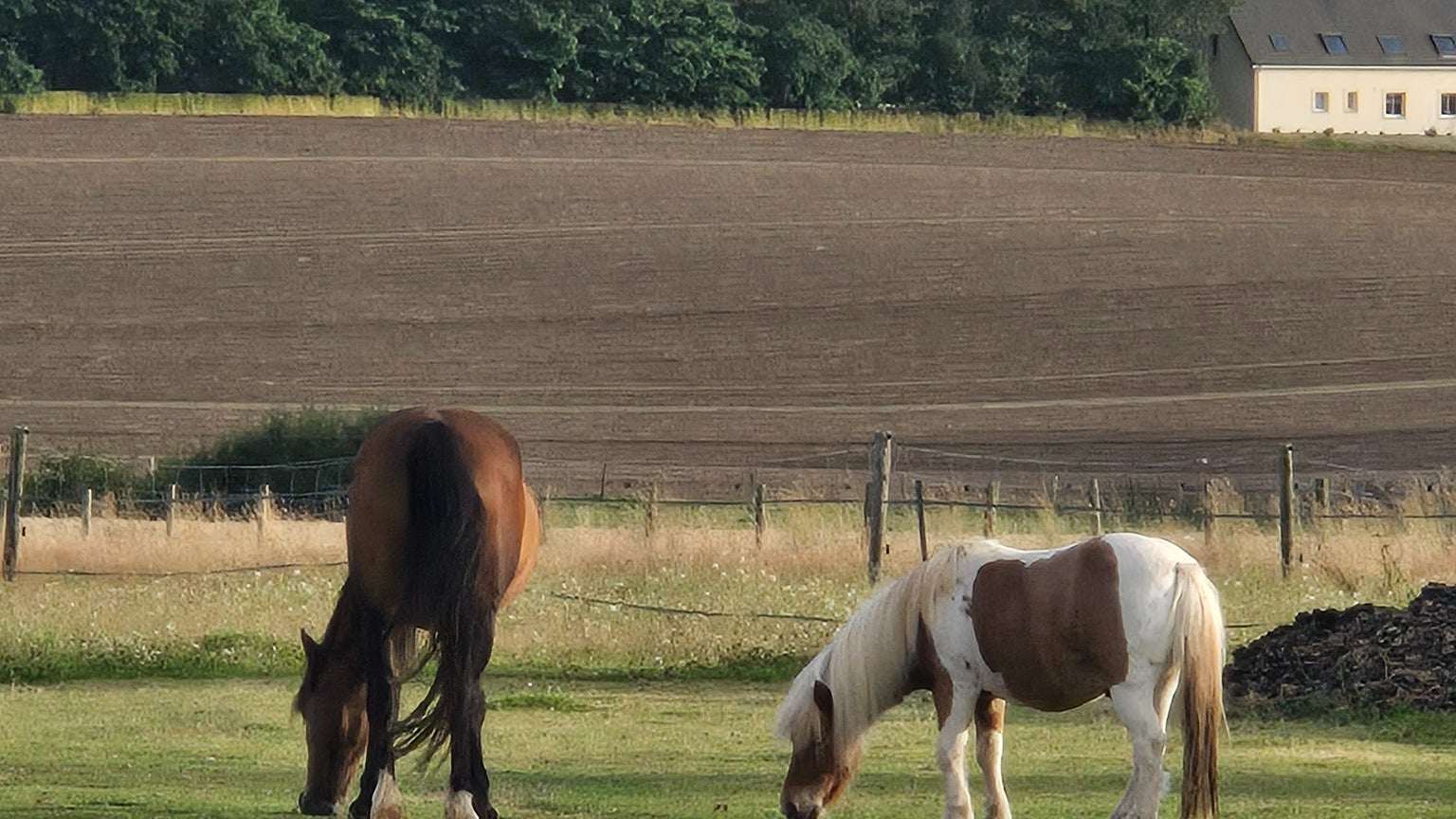 On zoom encore... et le tout reste net.