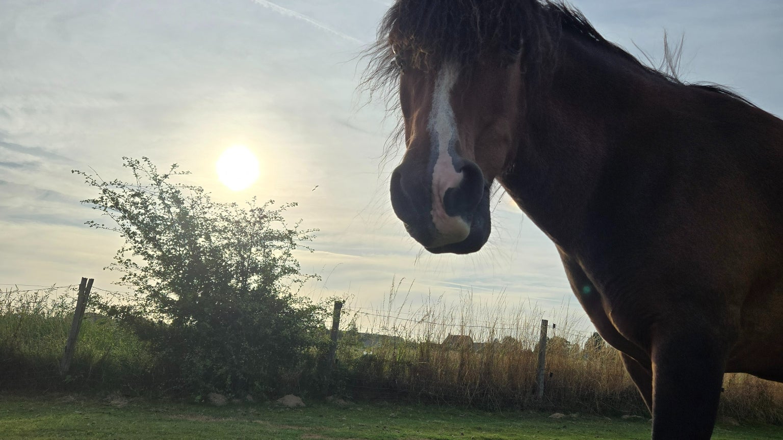 Les photos à contre-jour reste convaincantes.
