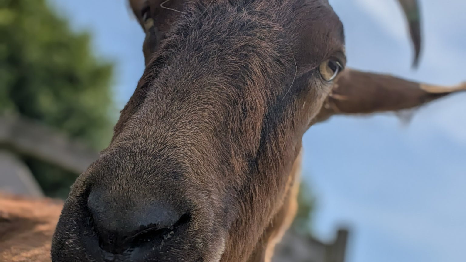 Selfie en mode portrait avec la caméra frontale