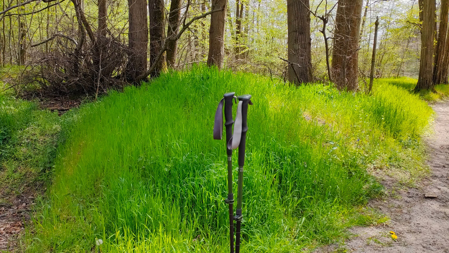 Certains éléments, comme ici l'herbe, peuvent alors paraître artificiels