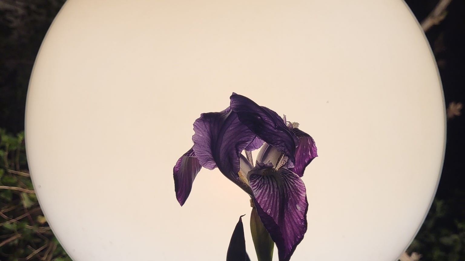 En revanche, dès qu'on trouve une source de lumière, les clichés sont beaucoup plus intéressants.