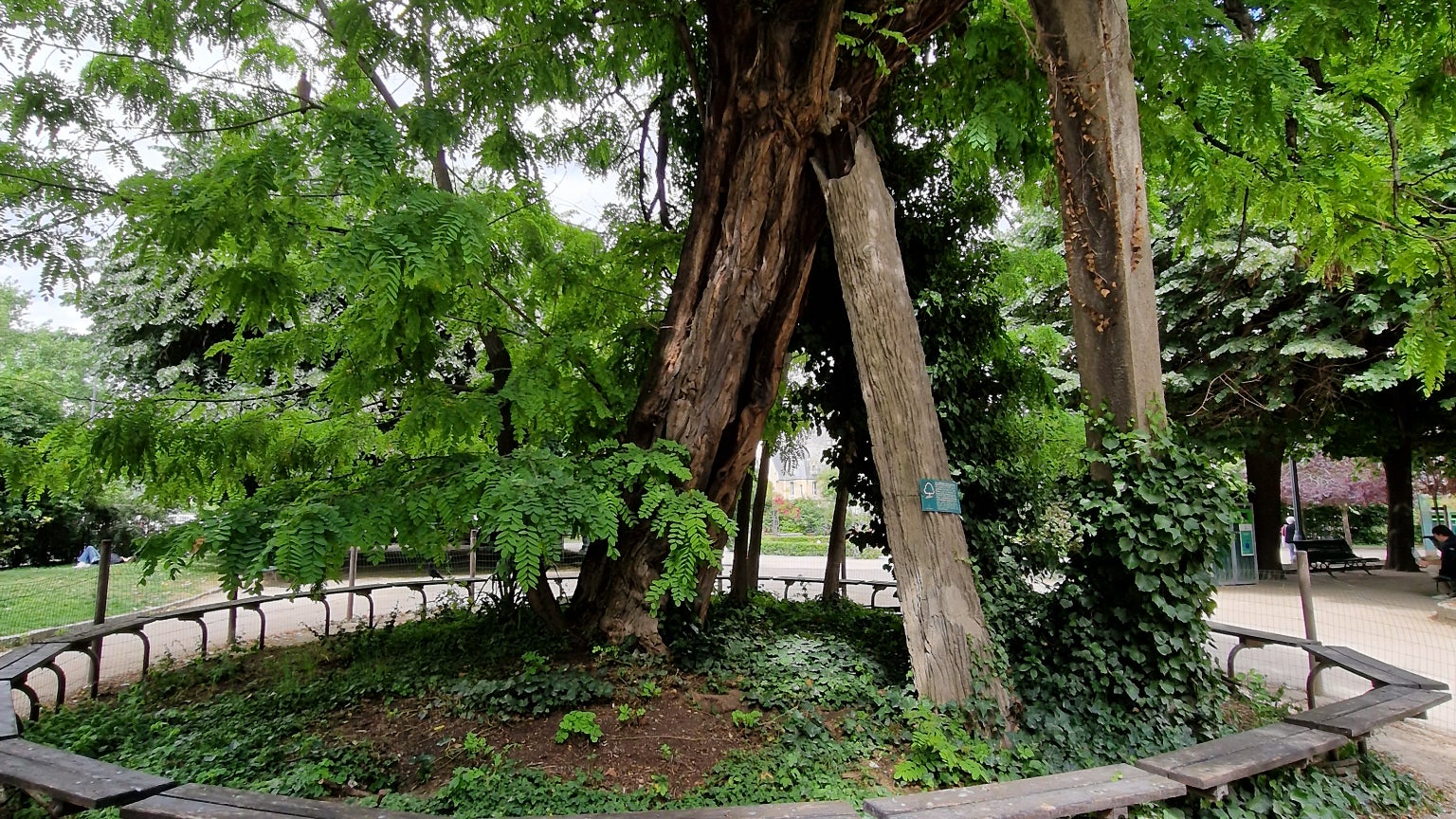 La restitution des couleurs est épatante mais pas toujours très naturelle, avec peut-être une tendance à trop saturer 