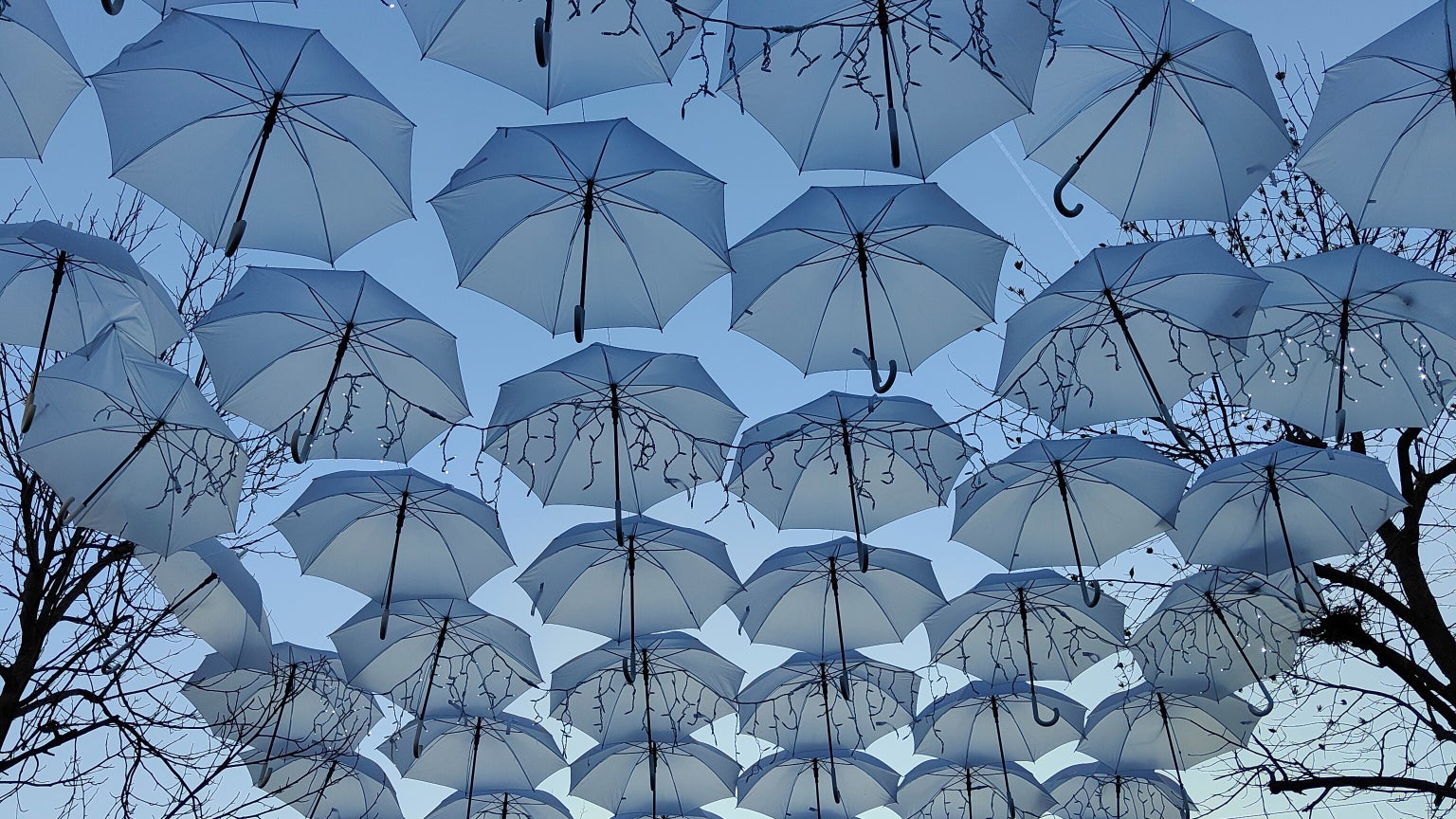 Même à faible luminosité, le OPPO Find X3 Pro réalise de superbes clichés